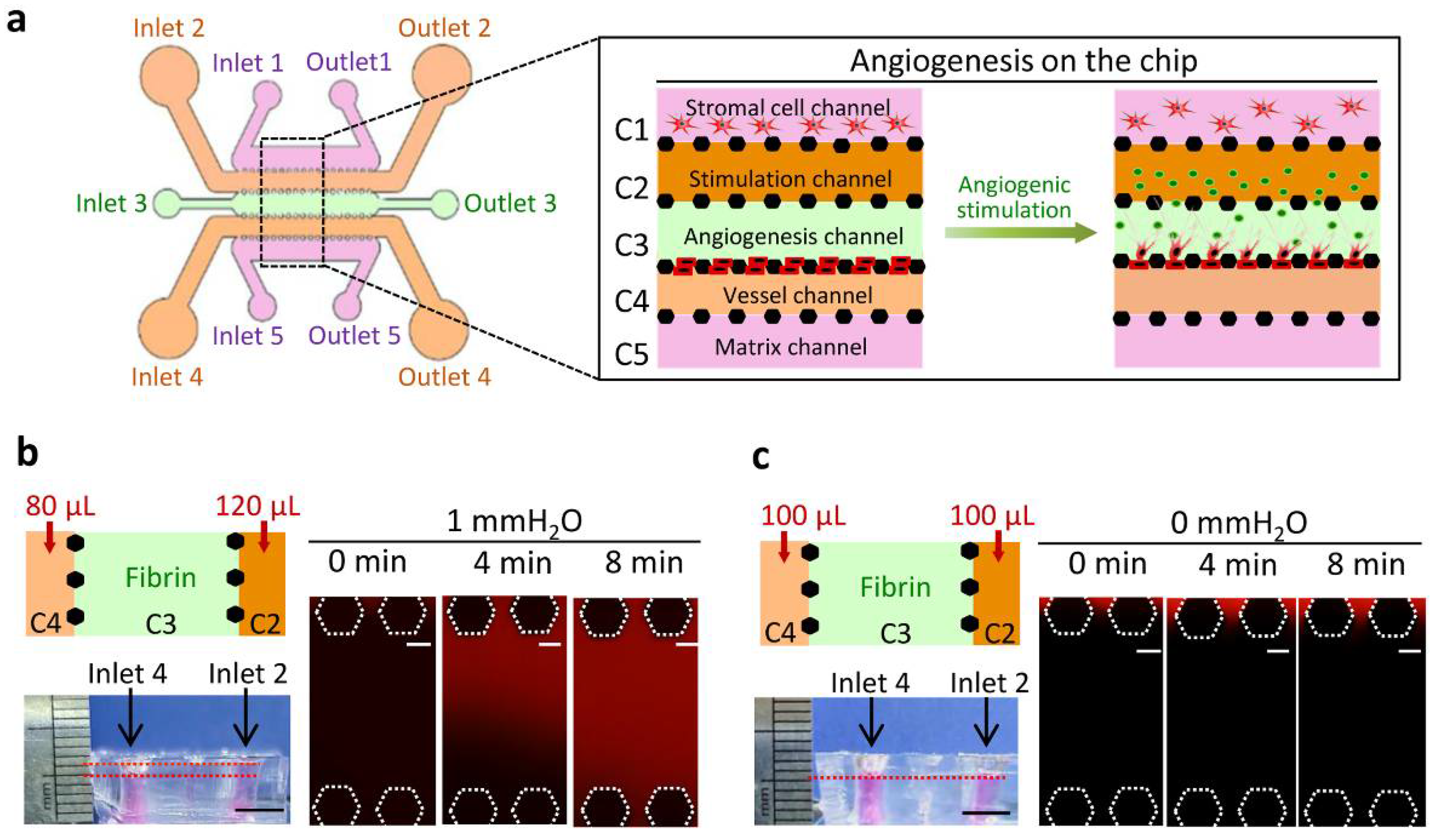 Micromachines 13 00225 g001 550