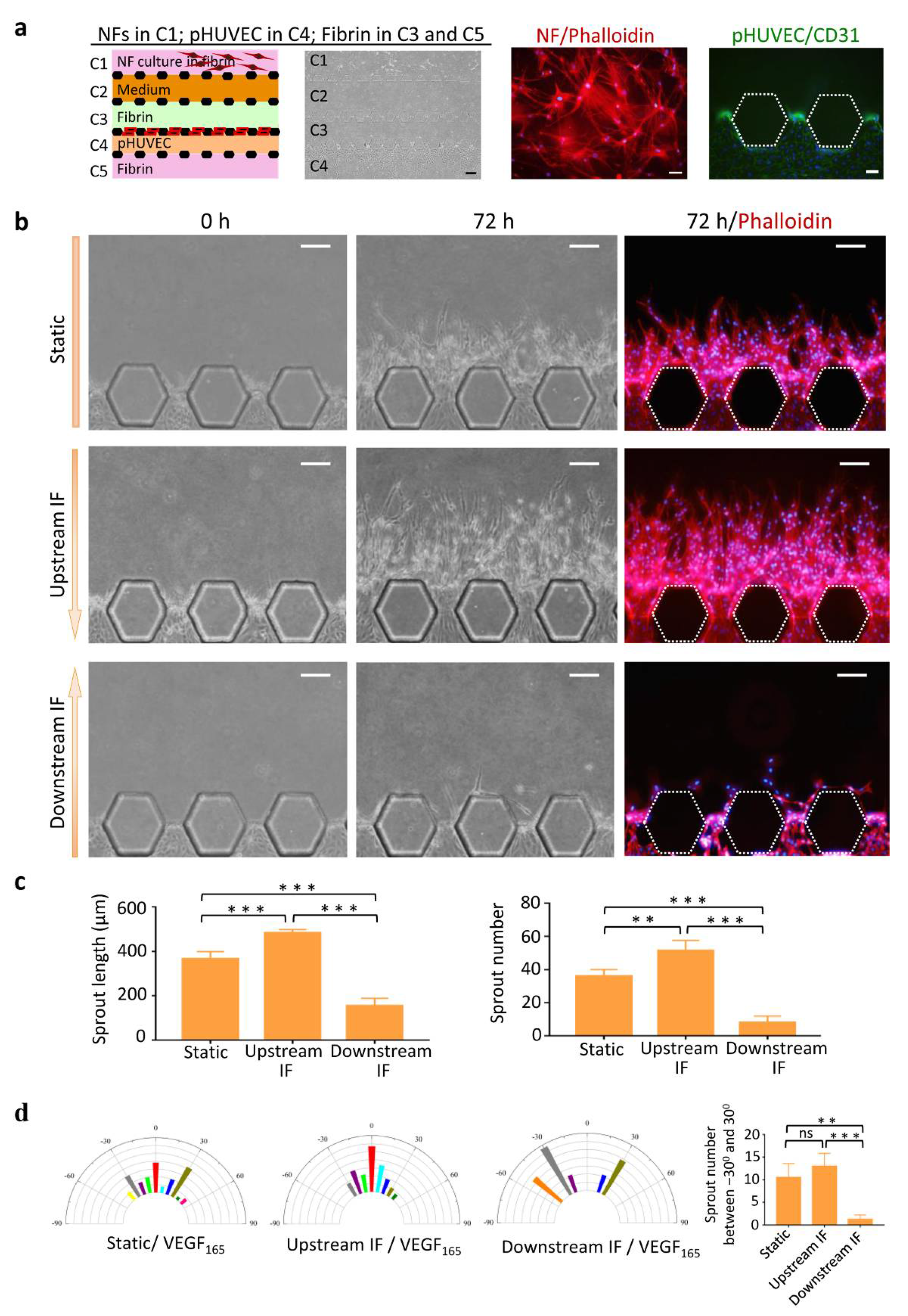 Micromachines 13 00225 g002 550