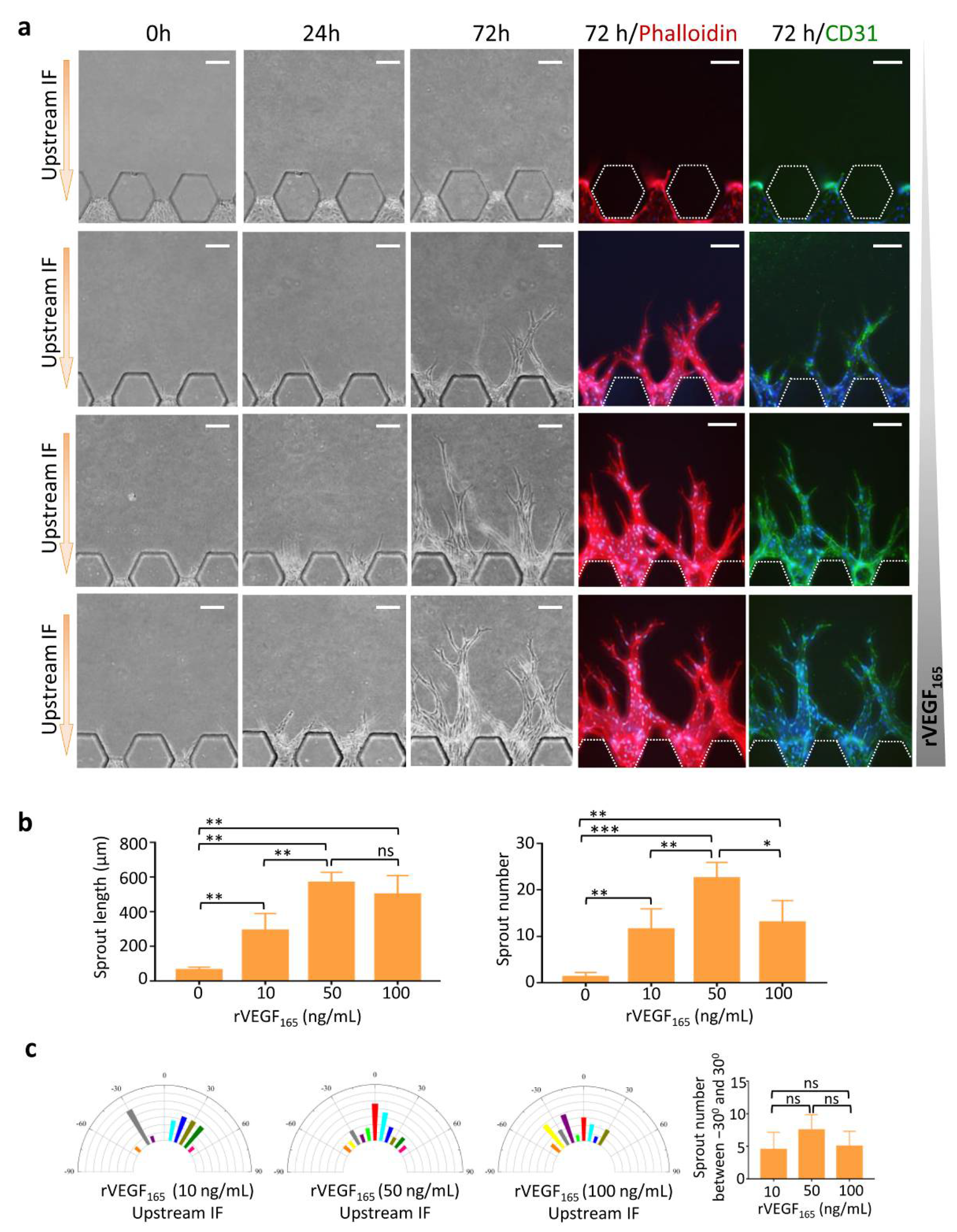 Micromachines 13 00225 g003 550