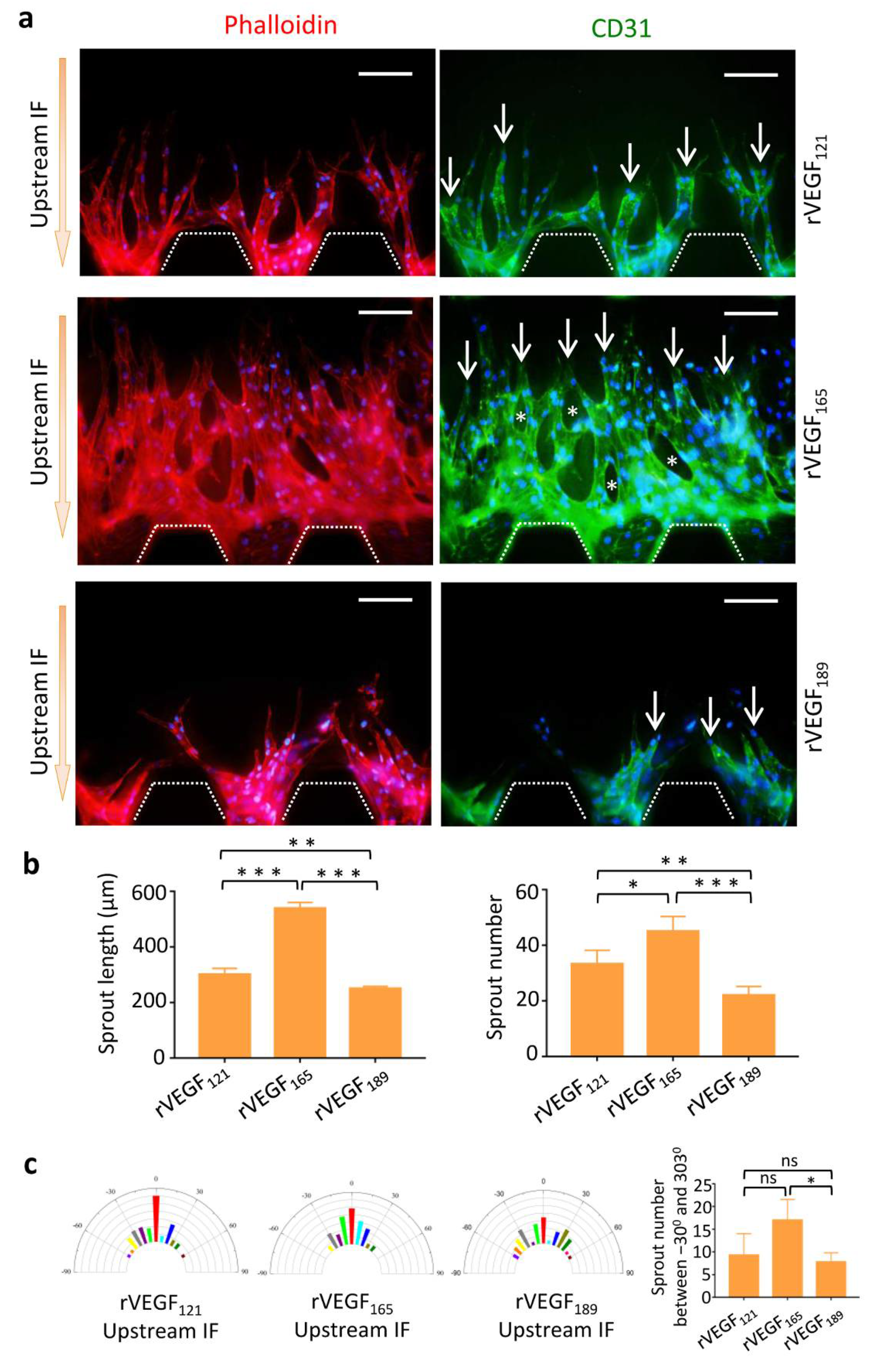 Micromachines 13 00225 g004 550