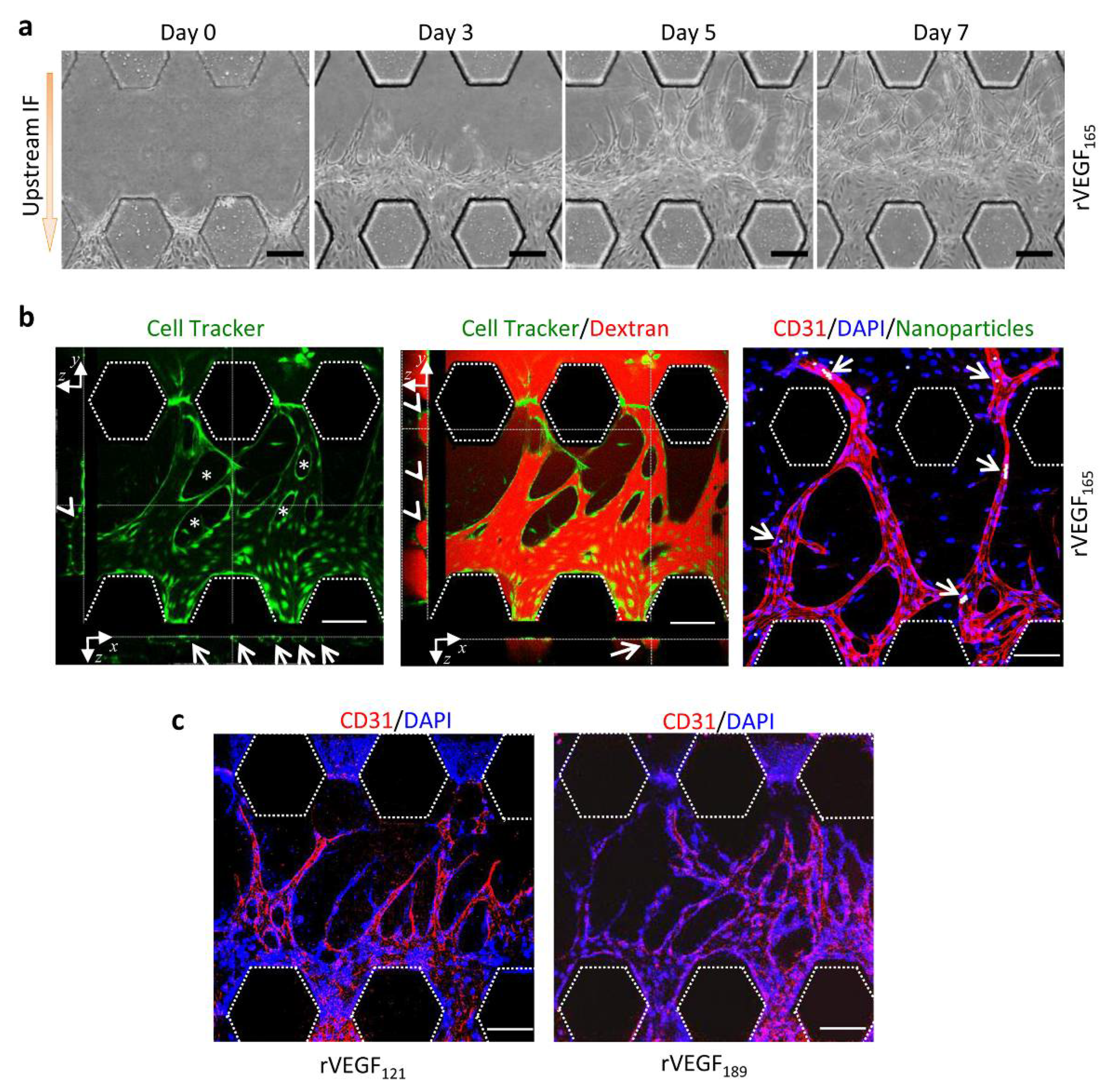 Micromachines 13 00225 g005 550
