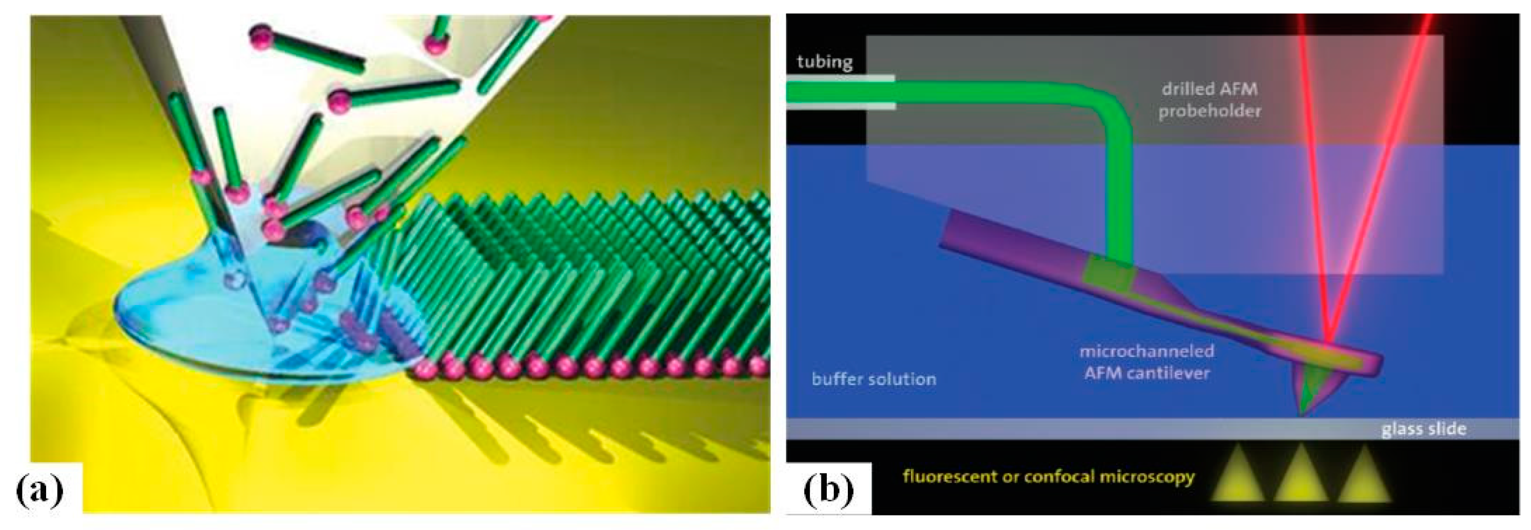 Micromachines 13 00228 g017 Micromachines 13 00228 g017