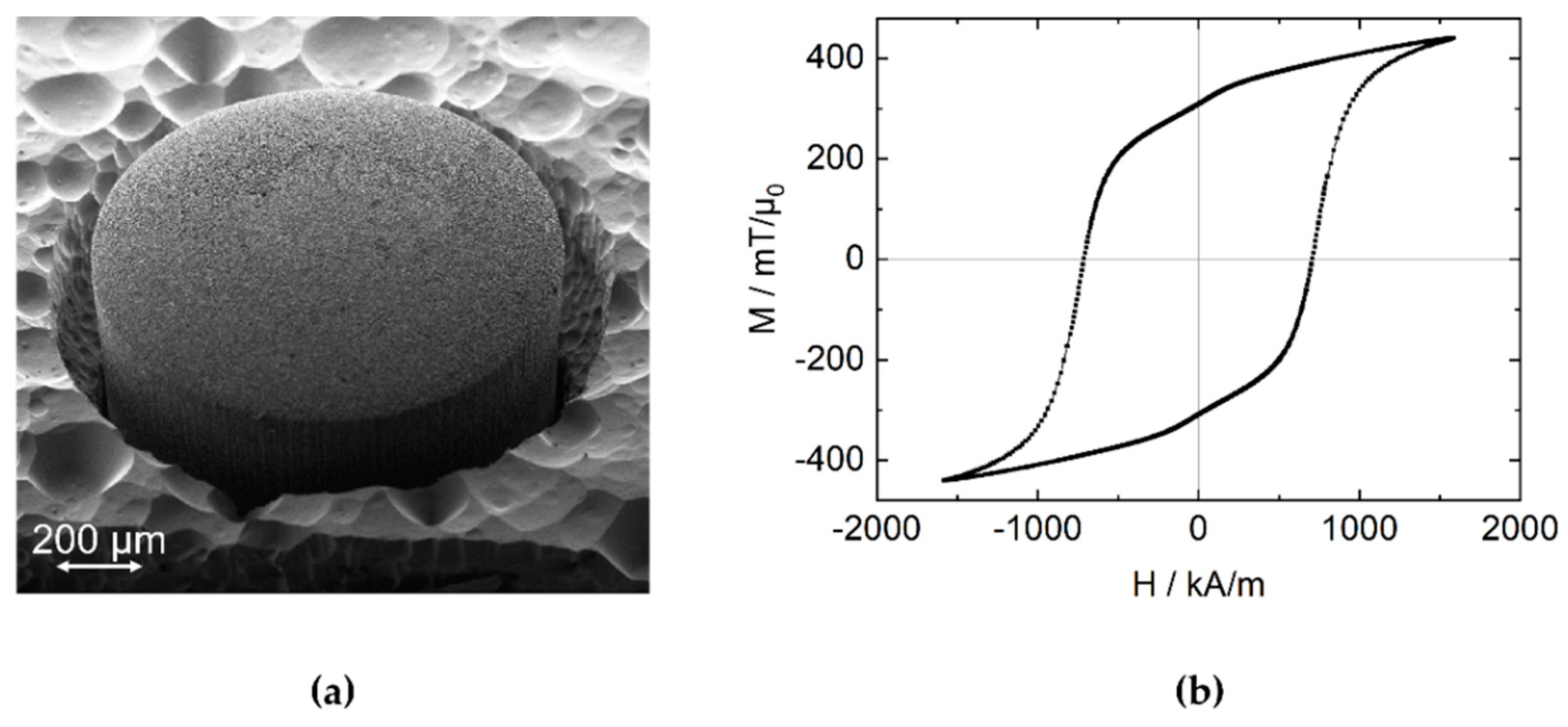 Micromachines 13 00235 g004