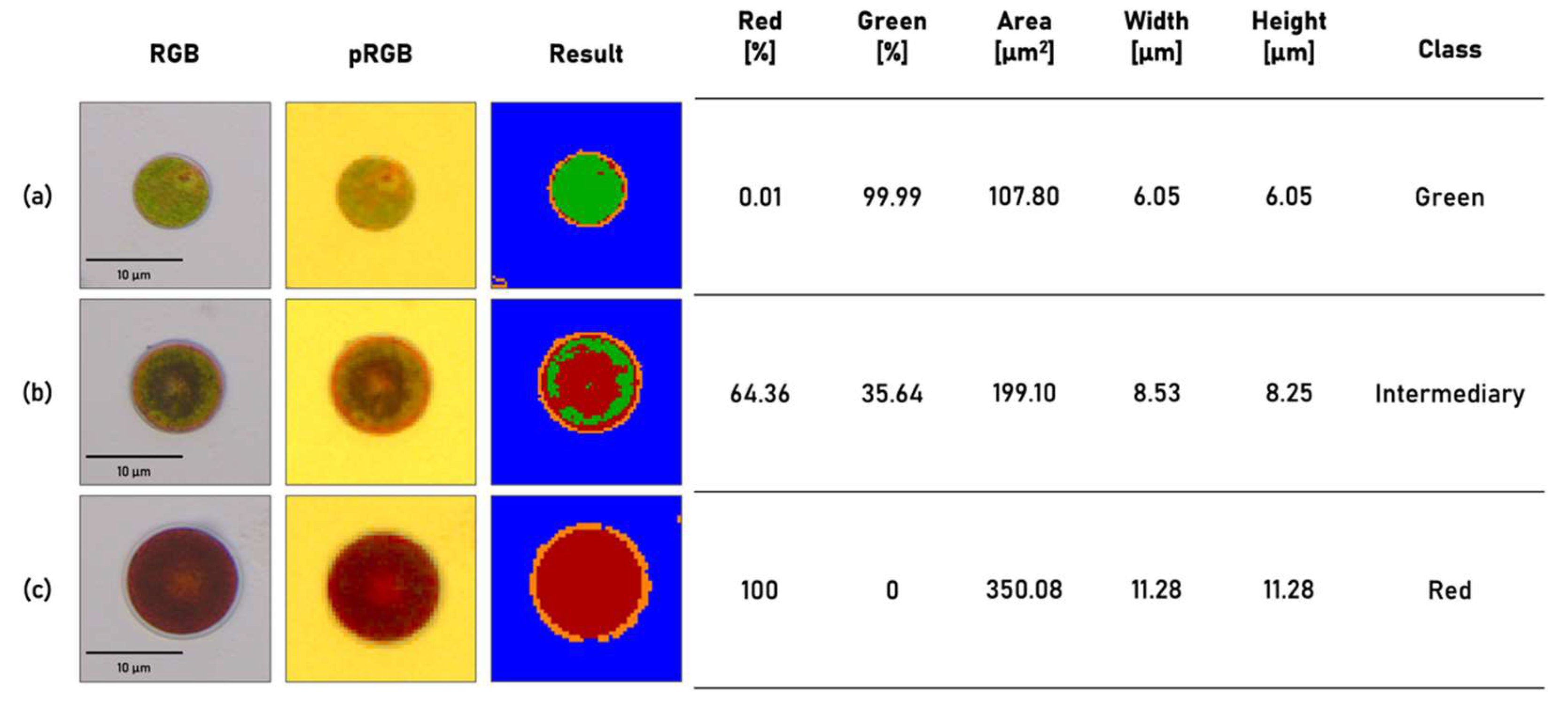 Micromachines 13 00238 g005