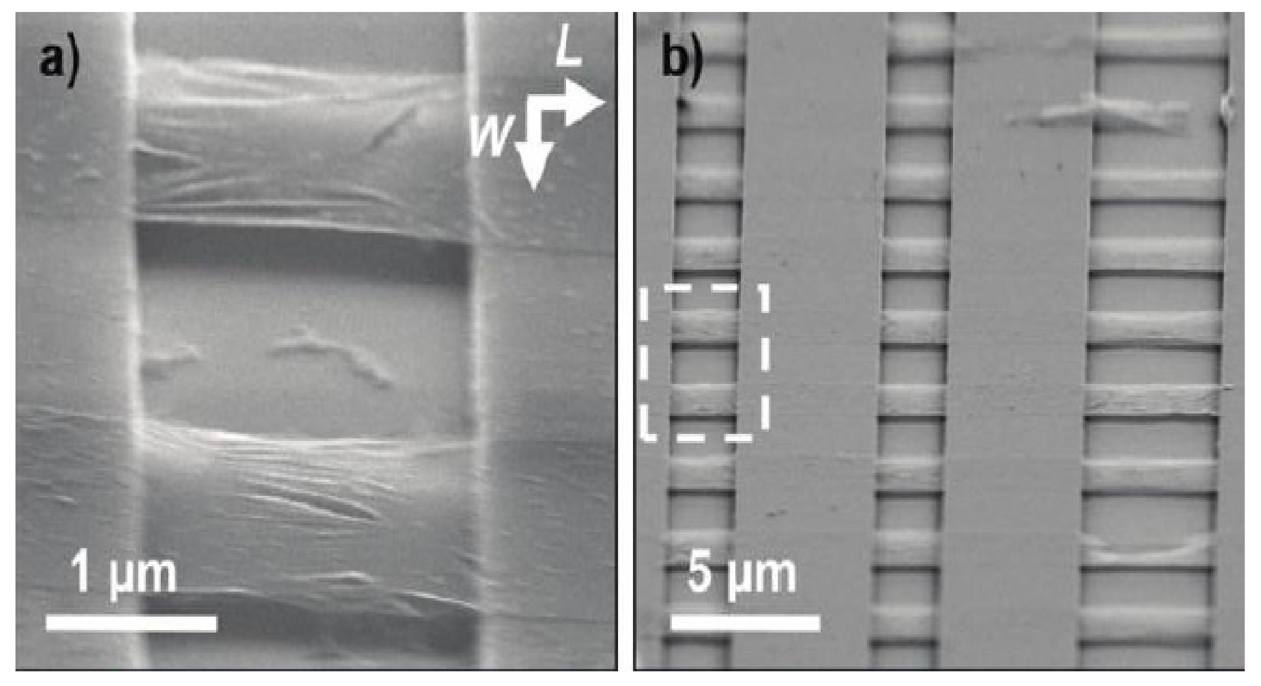 Micromachines 13 00241 g009