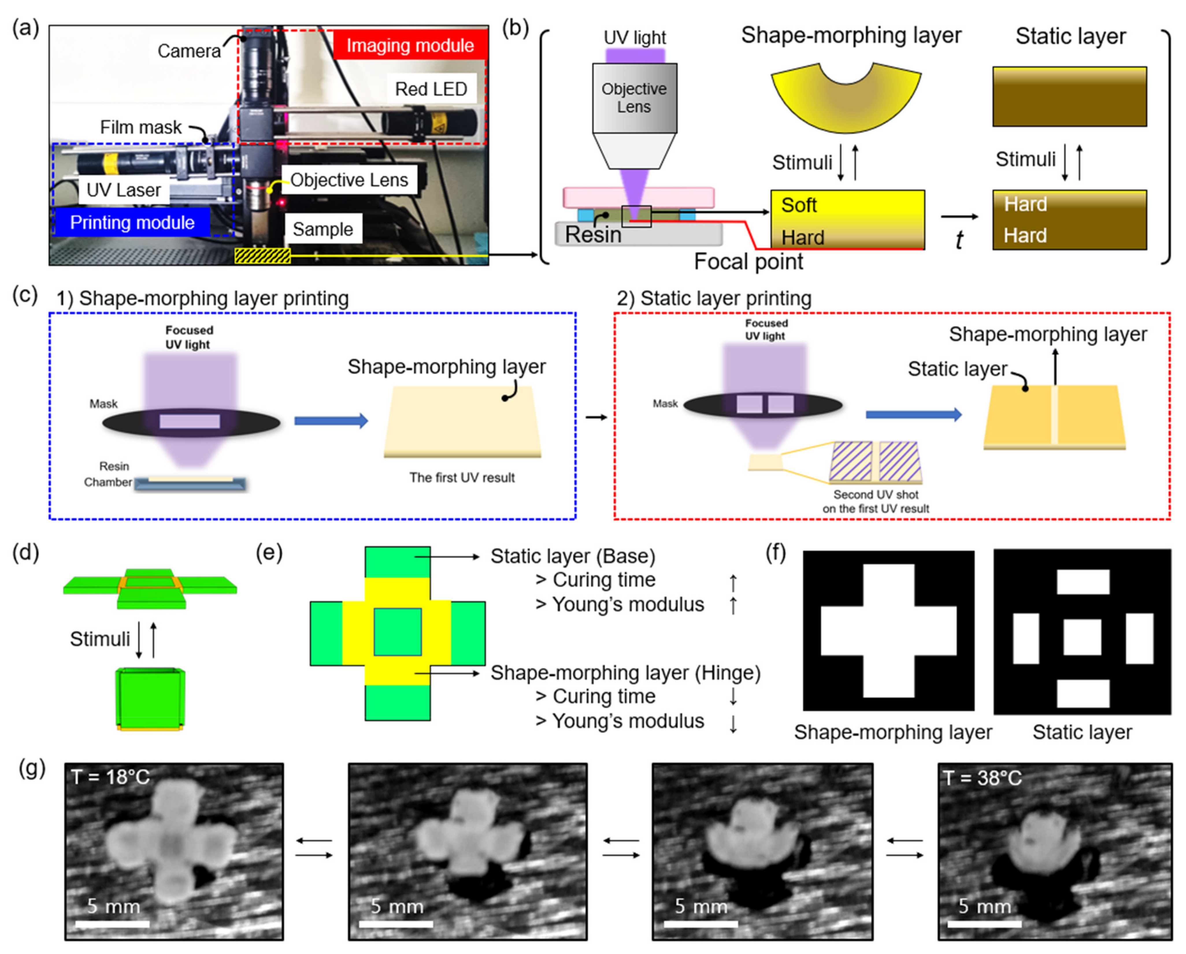 Micromachines 13 00243 g002 550