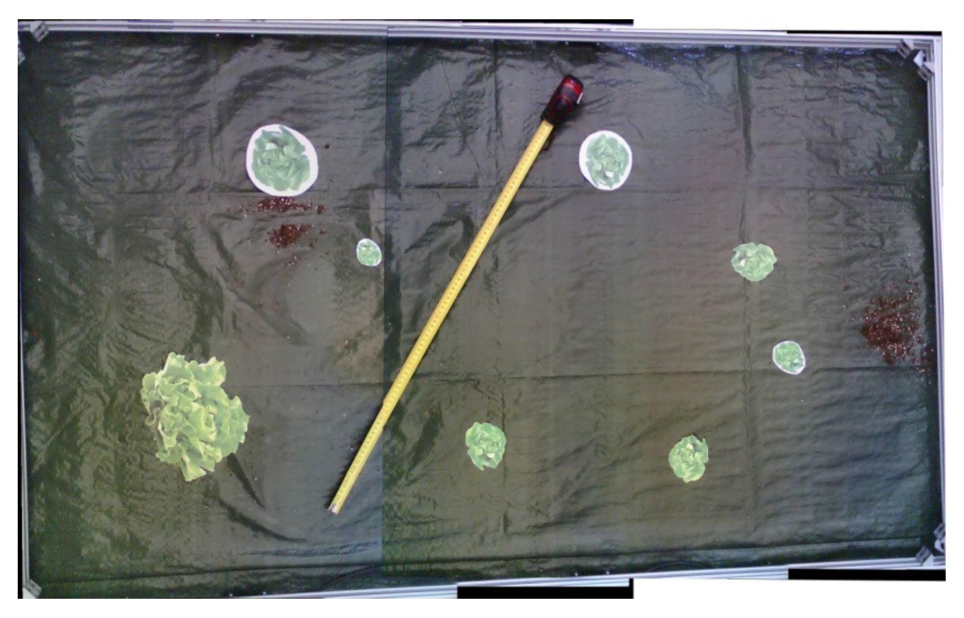 Micromachines 13 00250 g015 550