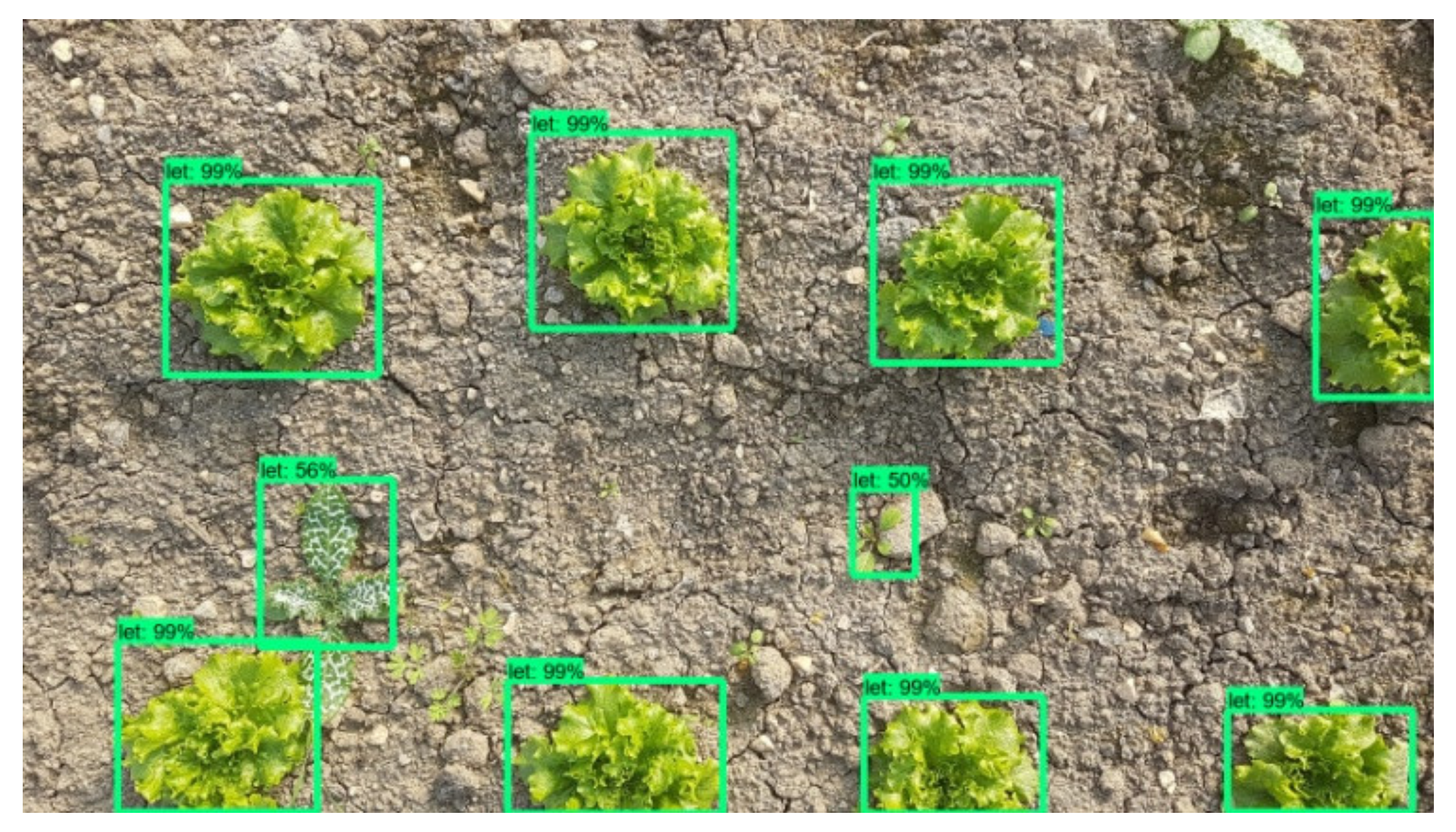 Micromachines 13 00250 g016 550