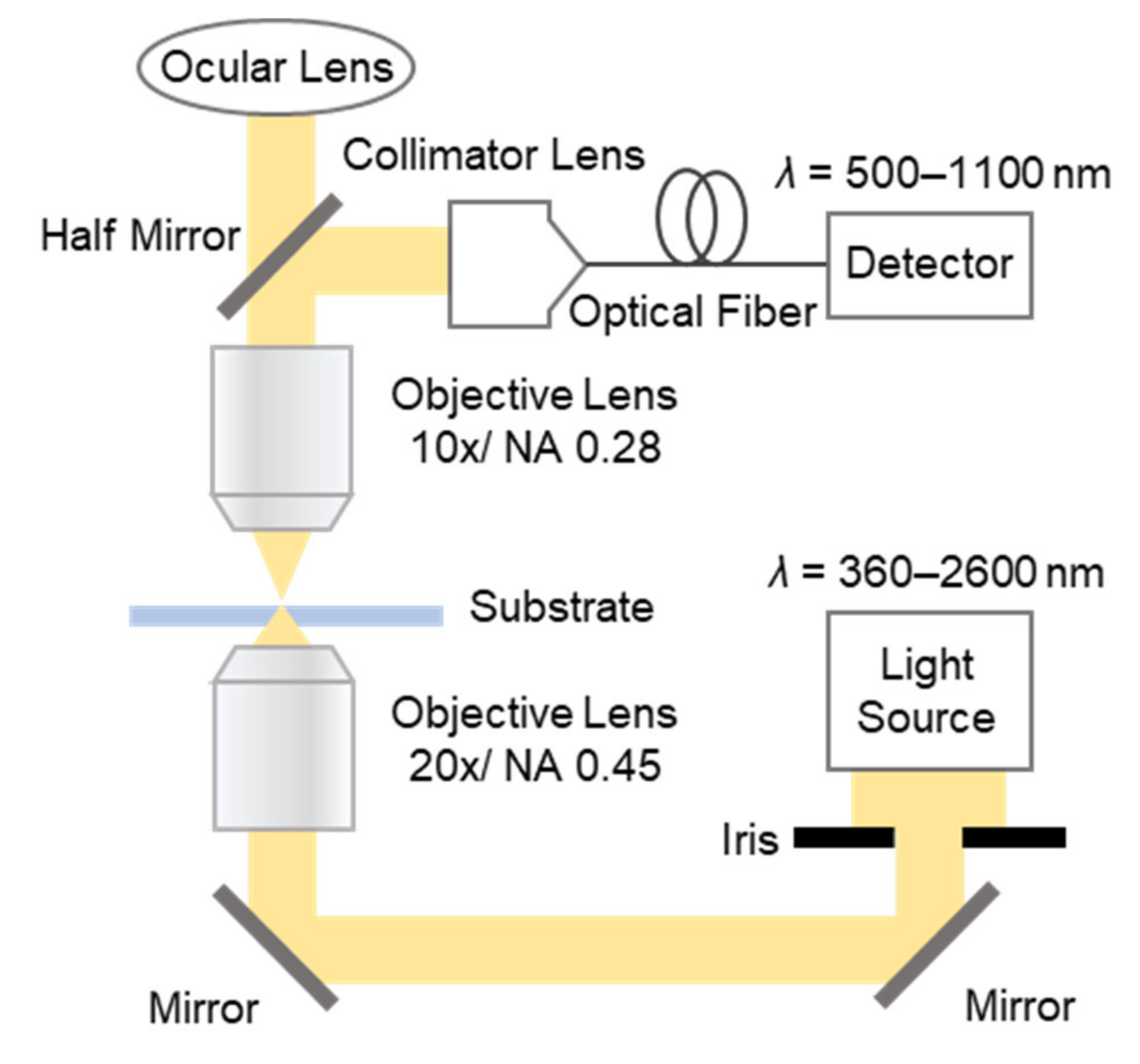 Micromachines 13 00257 g002