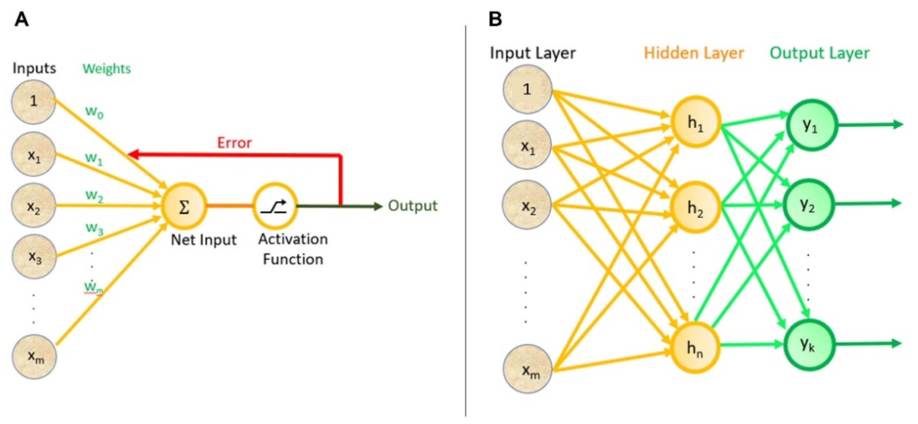 Micromachines 13 00260 g001 Micromachines 13 00260 g001