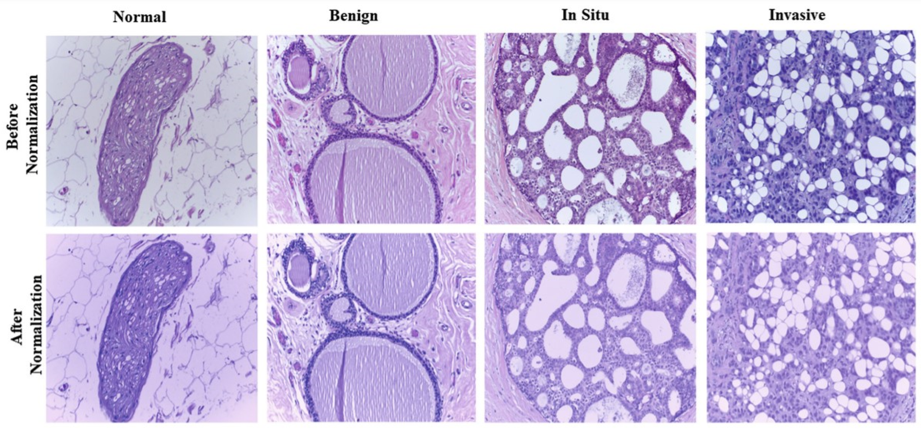 Micromachines 13 00260 g008 Micromachines 13 00260 g008