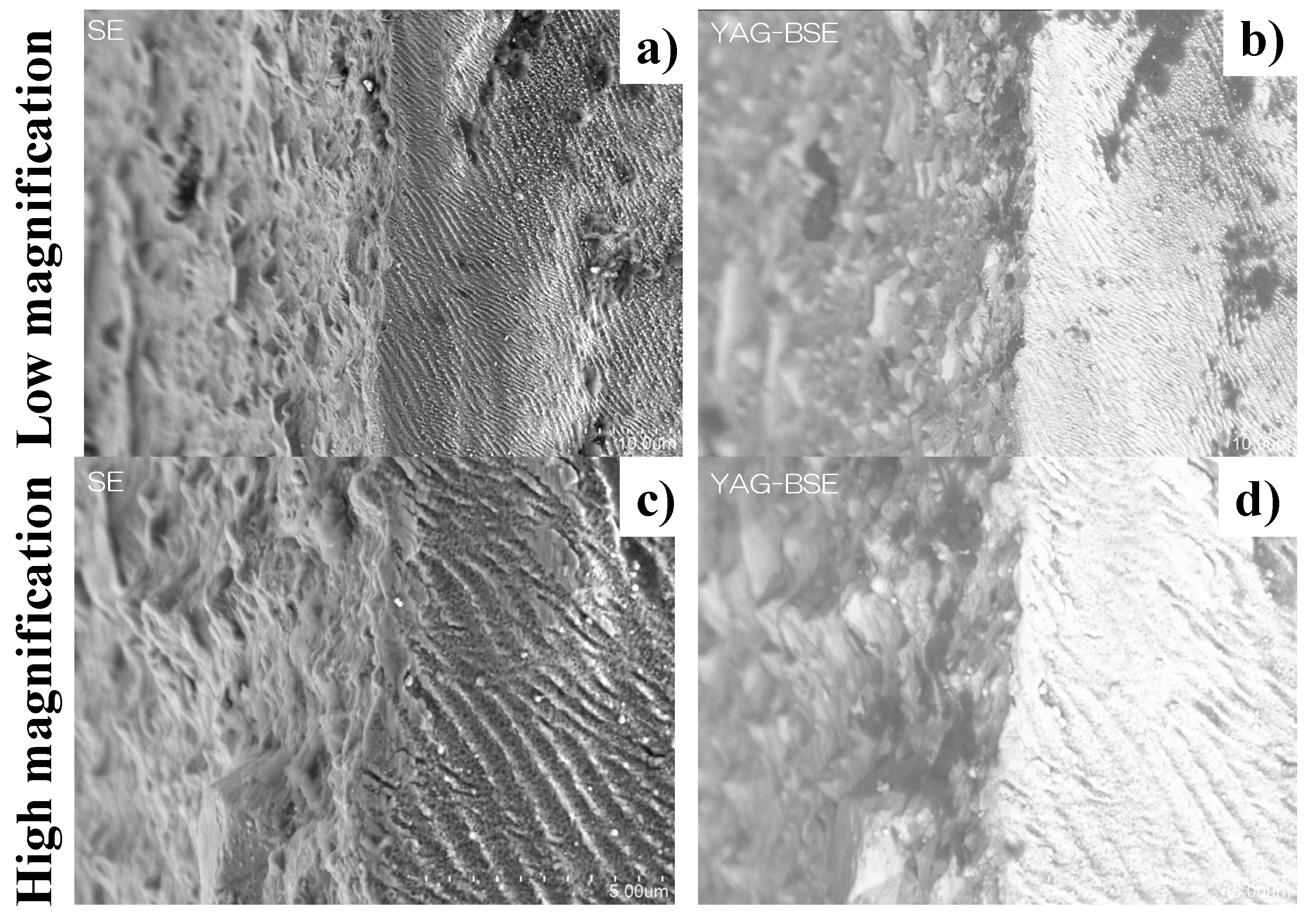 Micromachines 13 00265 g011