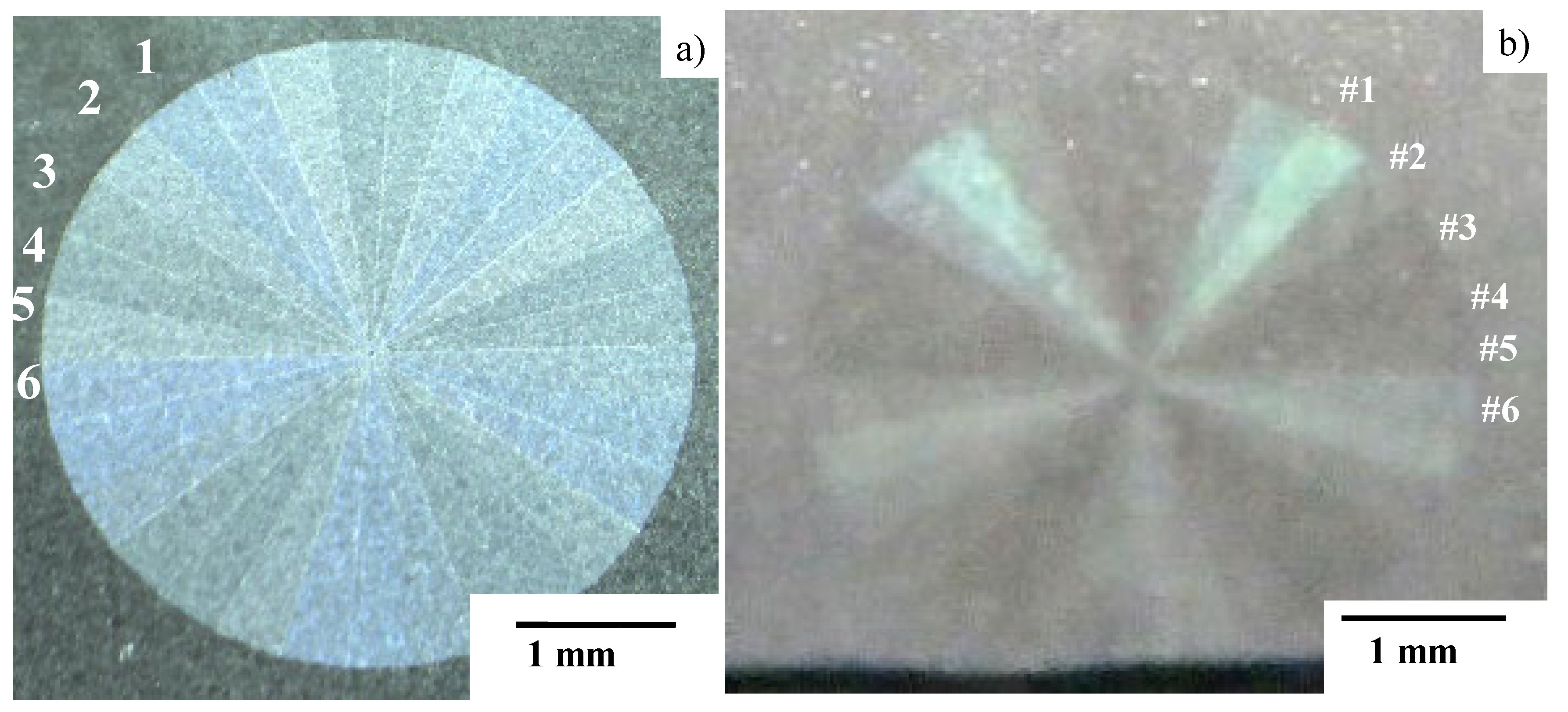 Micromachines 13 00265 g013
