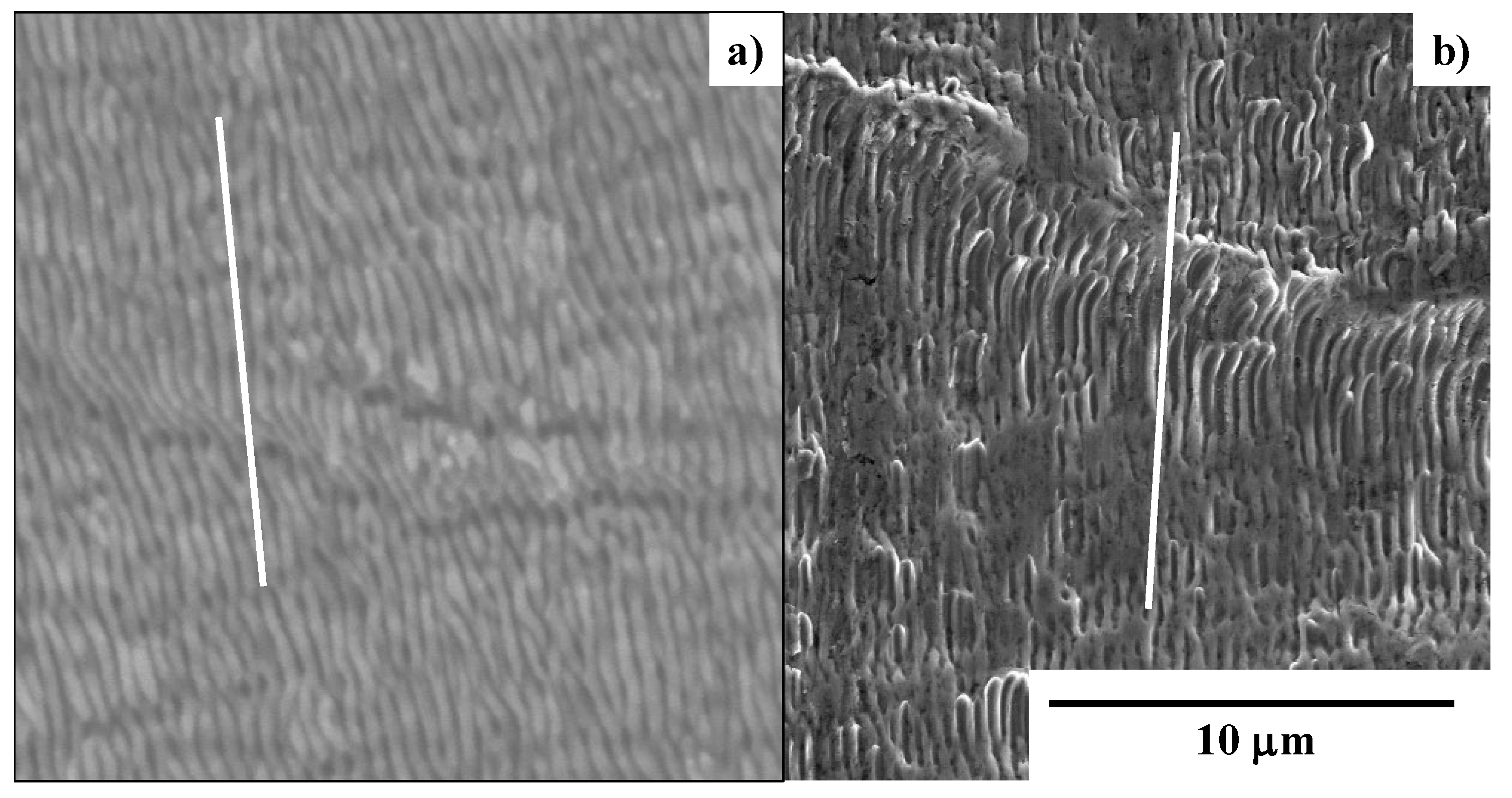 Micromachines 13 00265 g014