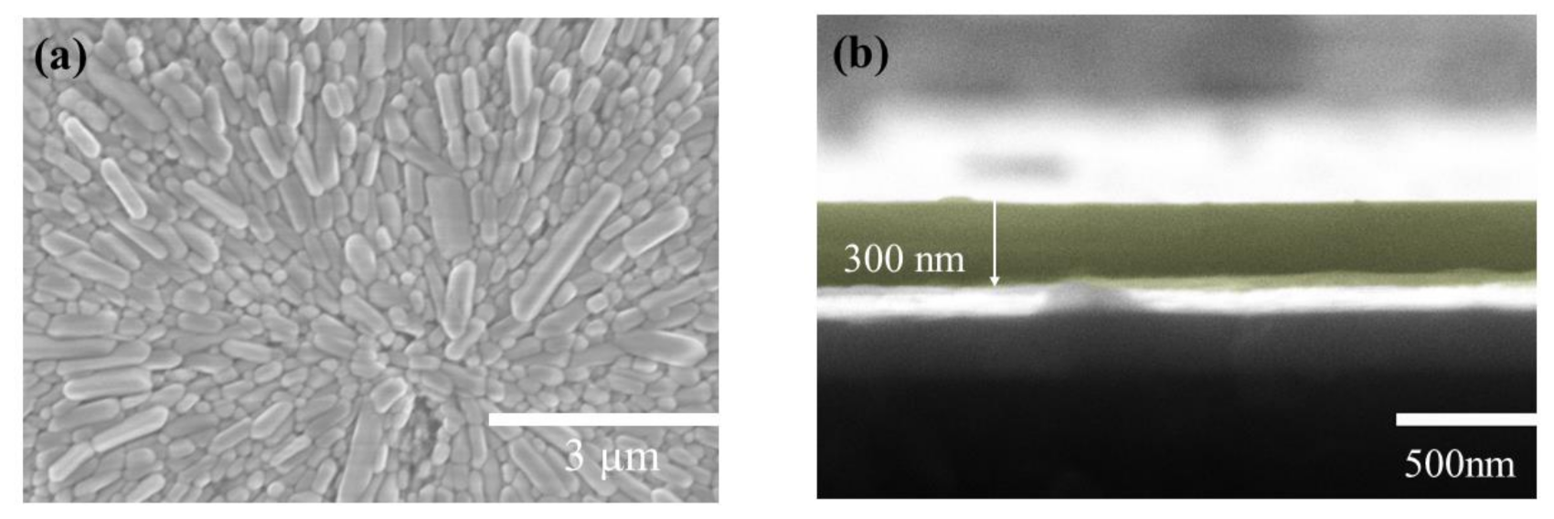Micromachines 13 00284 g002 550
