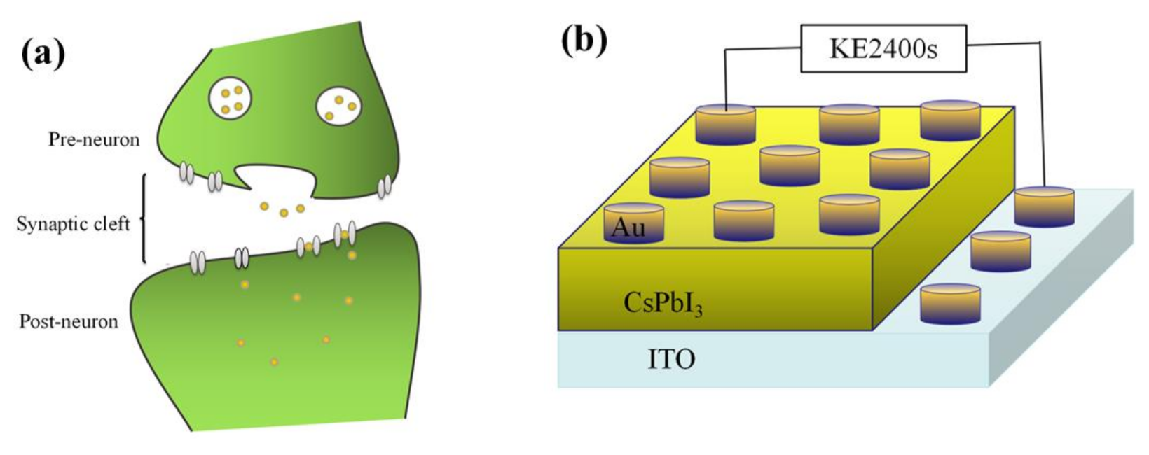 Micromachines 13 00284 g003 550