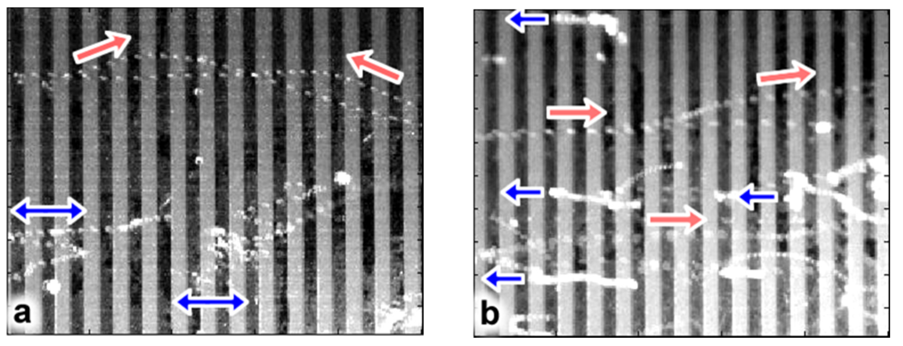Micromachines 13 00288 g004
