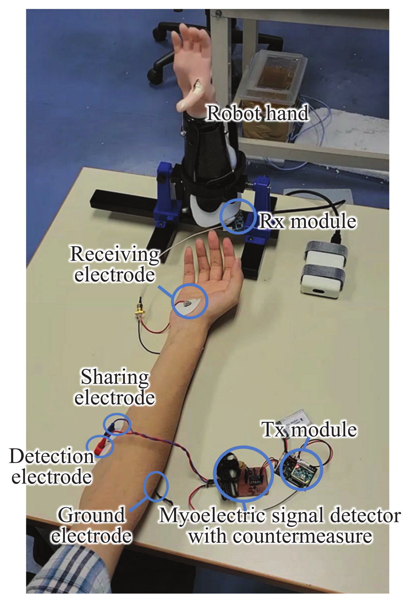Micromachines 13 00290 g016 550