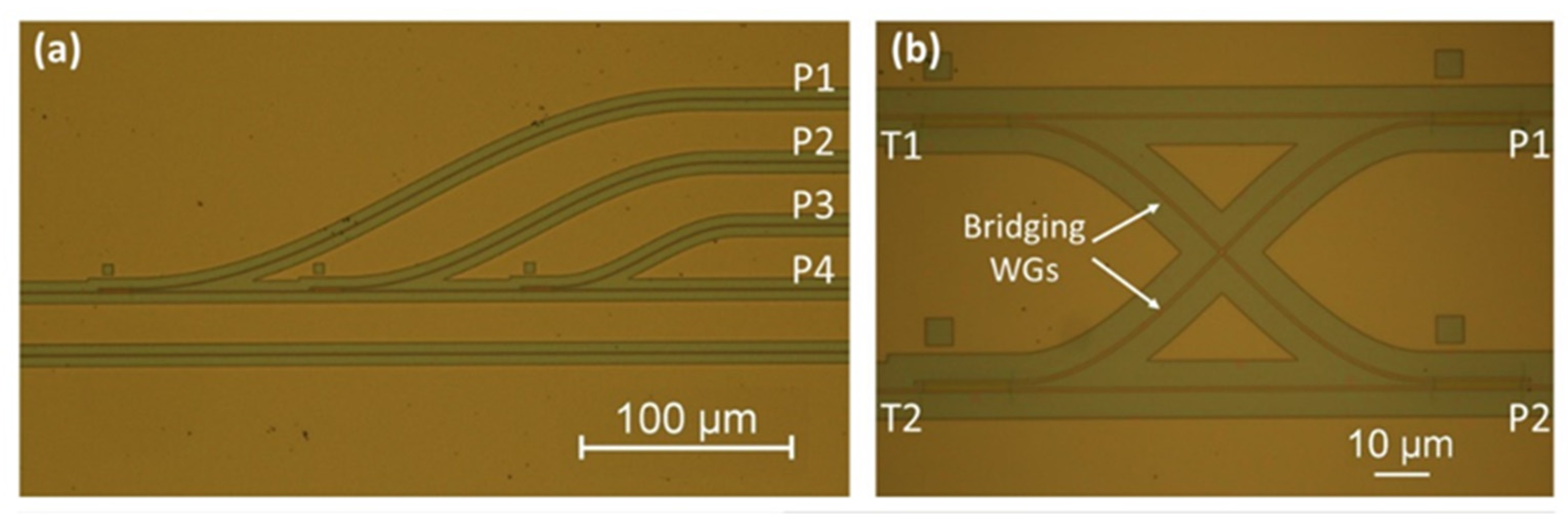 Micromachines 13 00291 g017 550