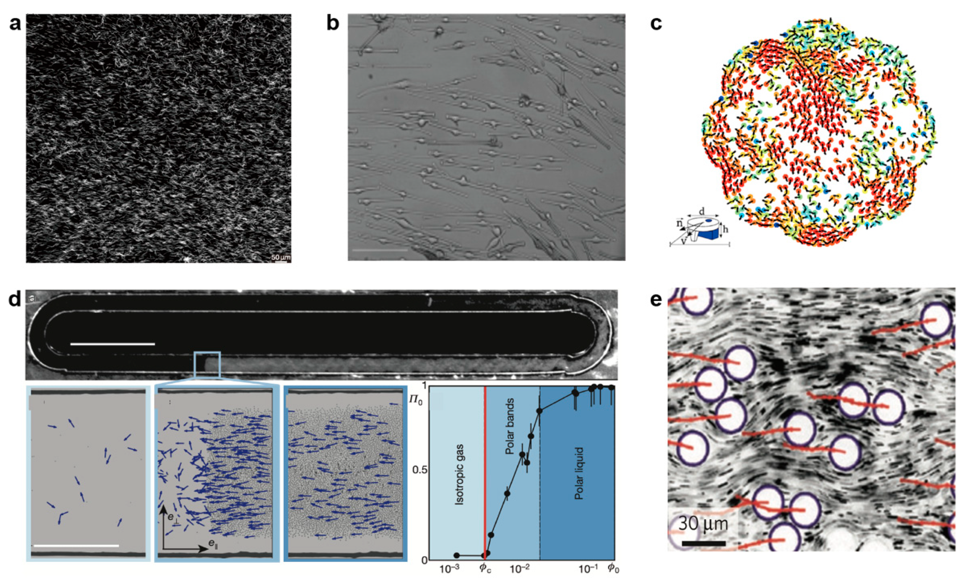 Micromachines 13 00295 g002 Micromachines 13 00295 g002