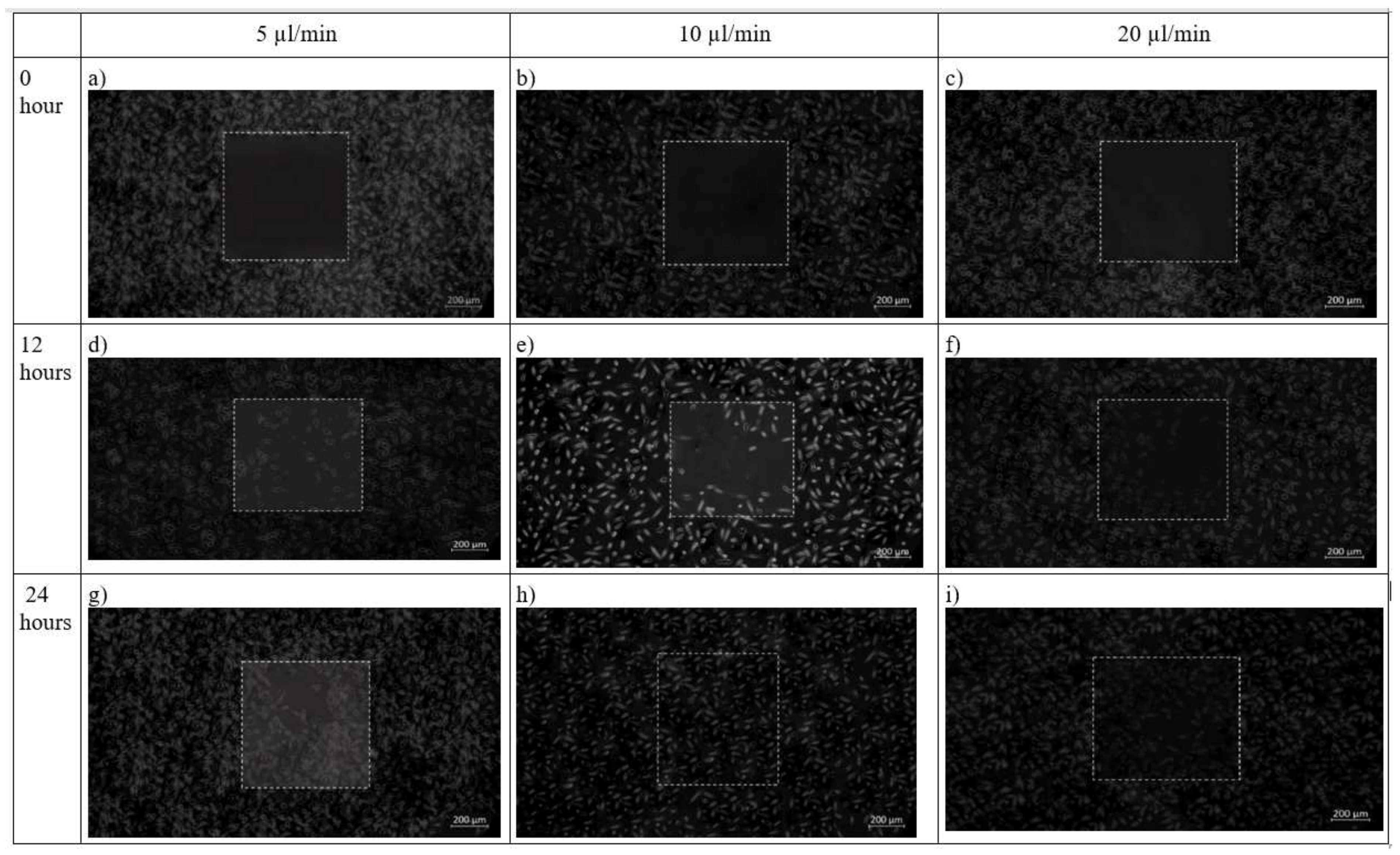 Micromachines 13 00305 g012