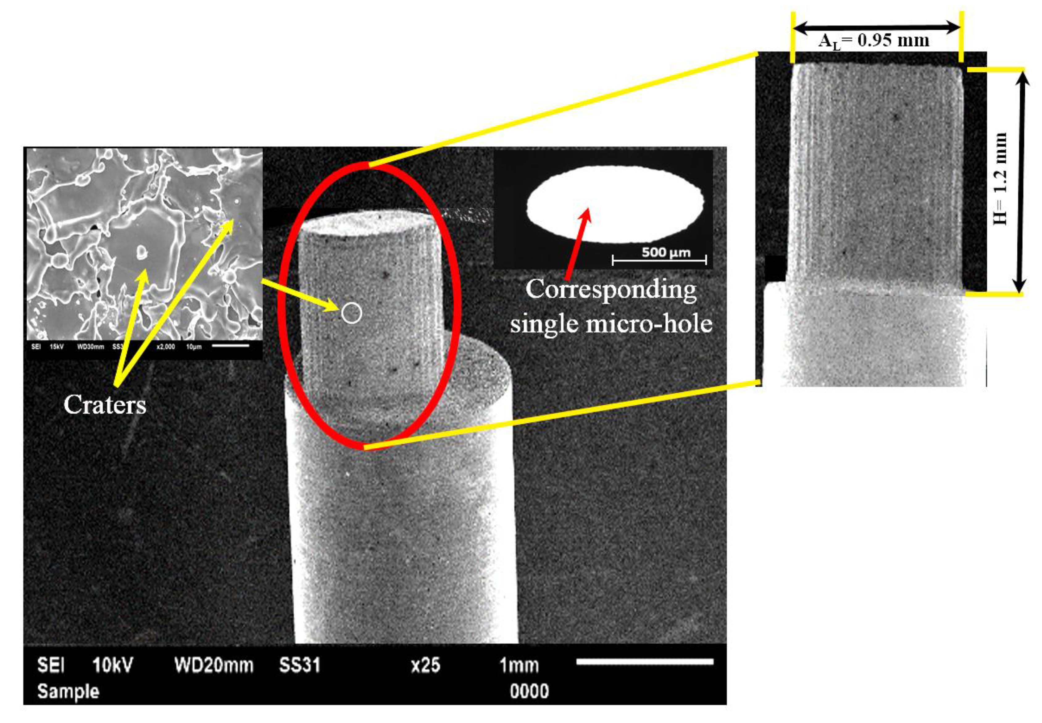 Micromachines 13 00306 g012