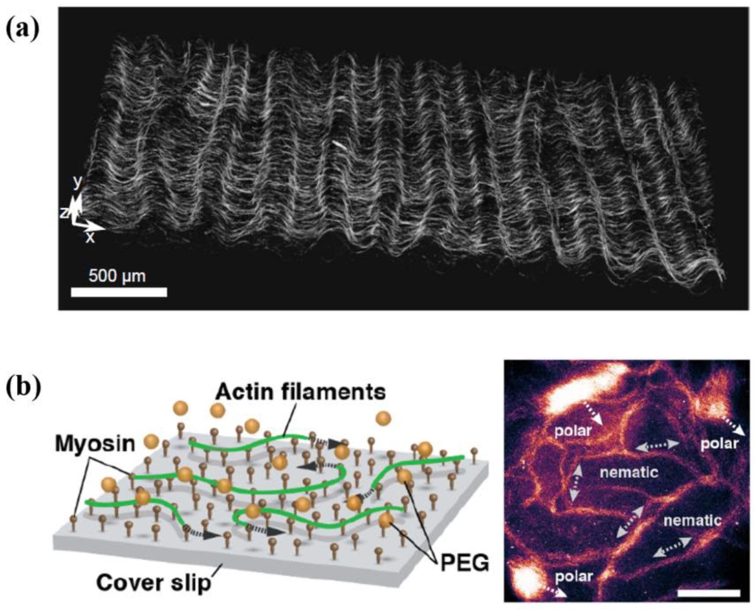 Micromachines 13 00307 g001