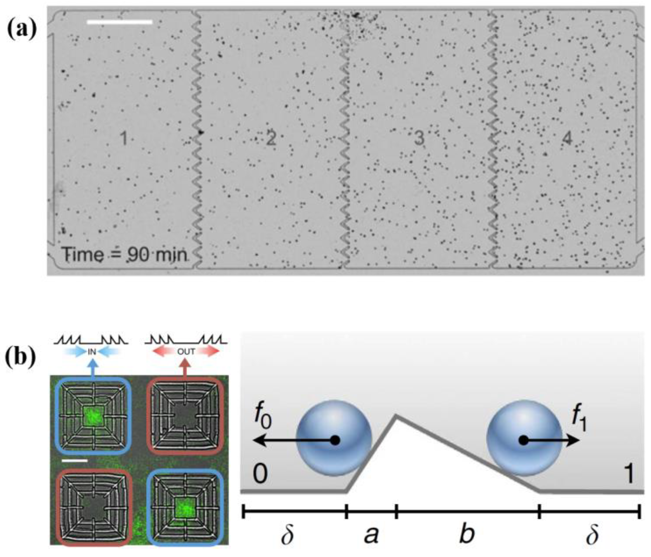Micromachines 13 00307 g005