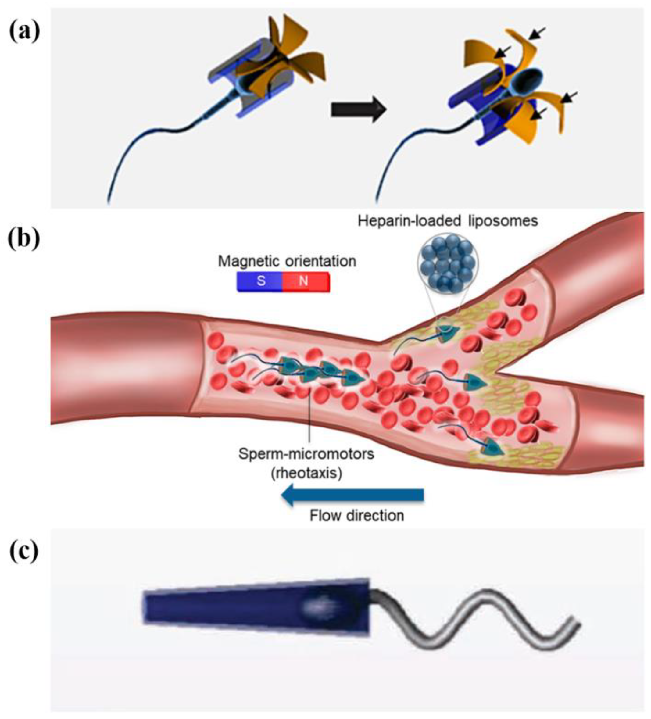 Micromachines 13 00307 g006