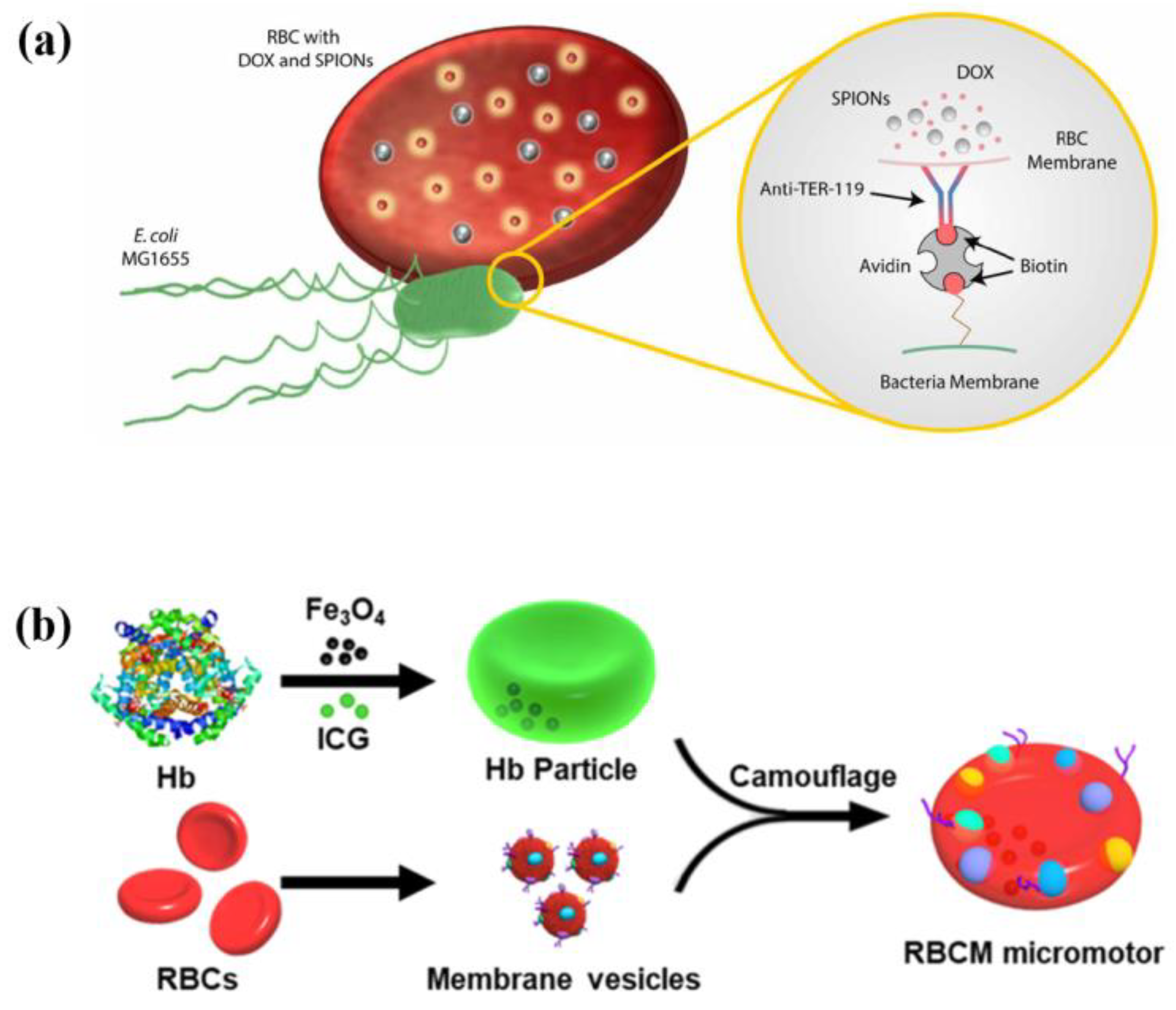Micromachines 13 00307 g007