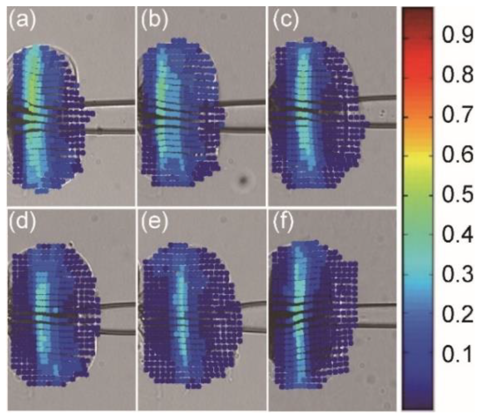 Micromachines 13 00309 g002