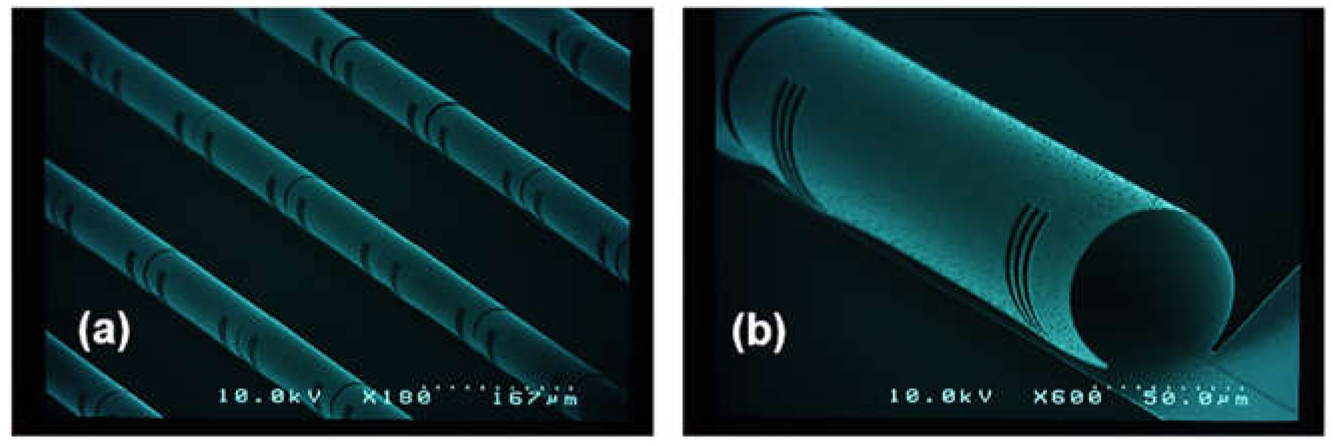 Micromachines 13 00314 g003 550