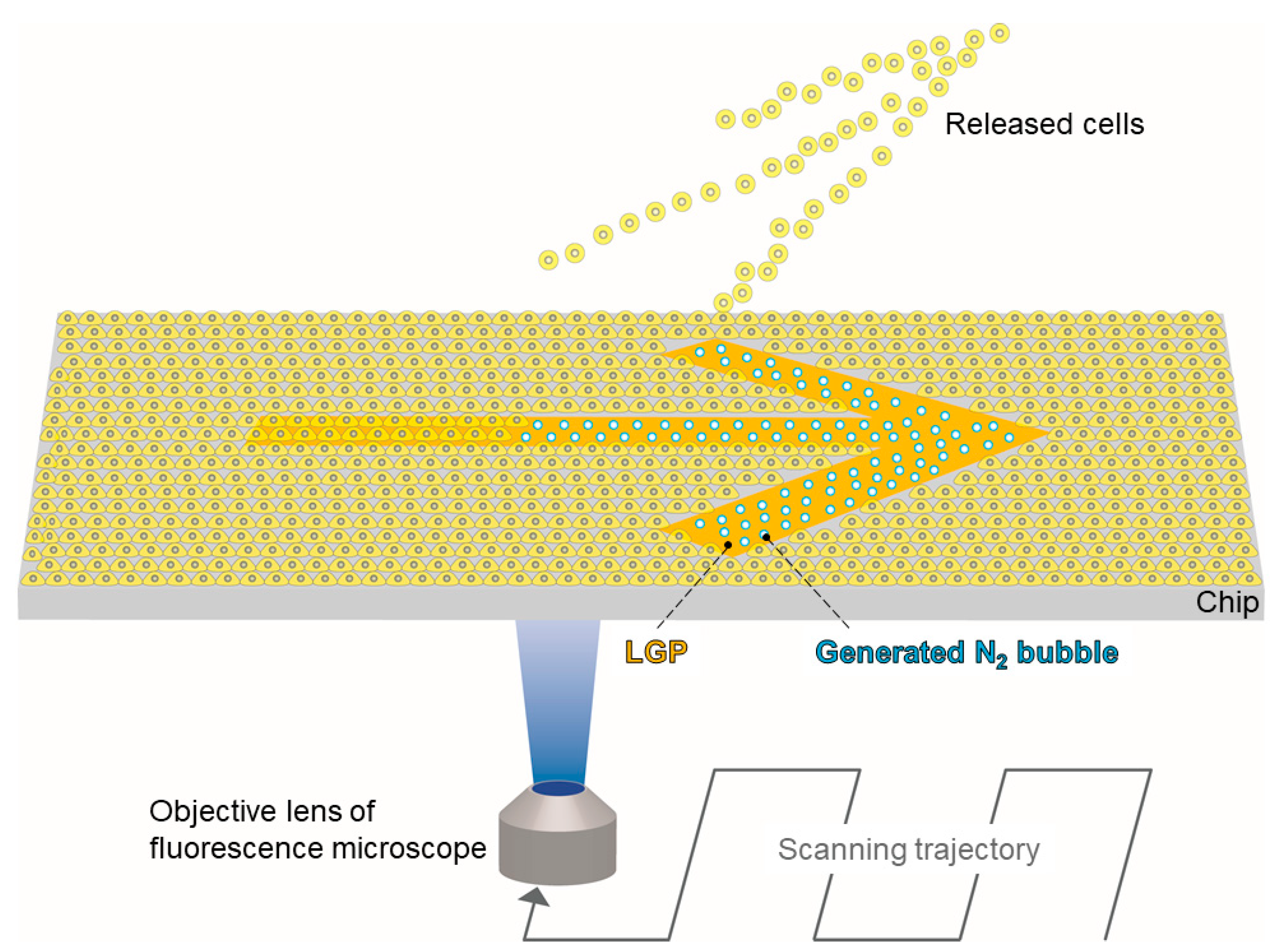 Micromachines 13 00320 g001 550