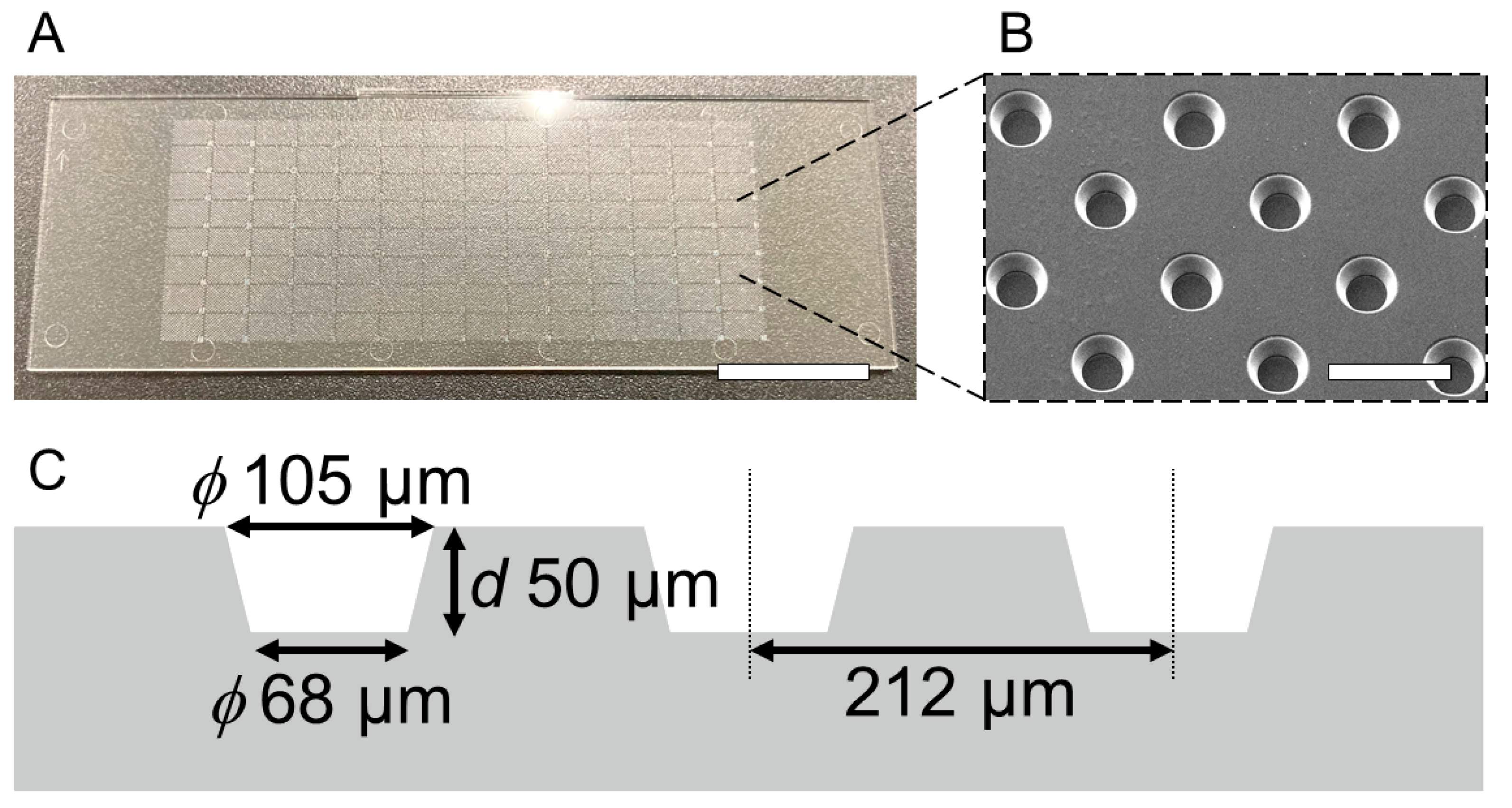Micromachines 13 00320 g002 550
