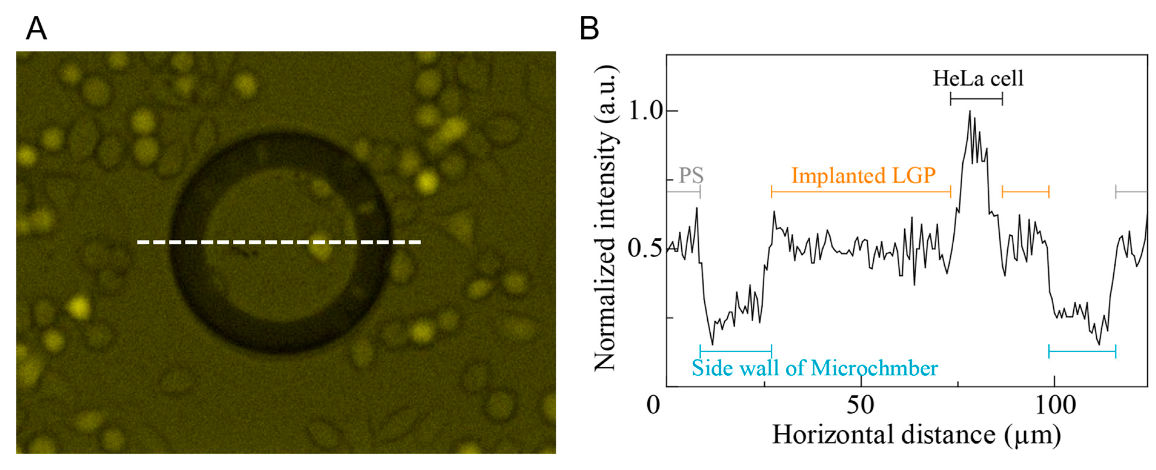 Micromachines 13 00320 g007 550
