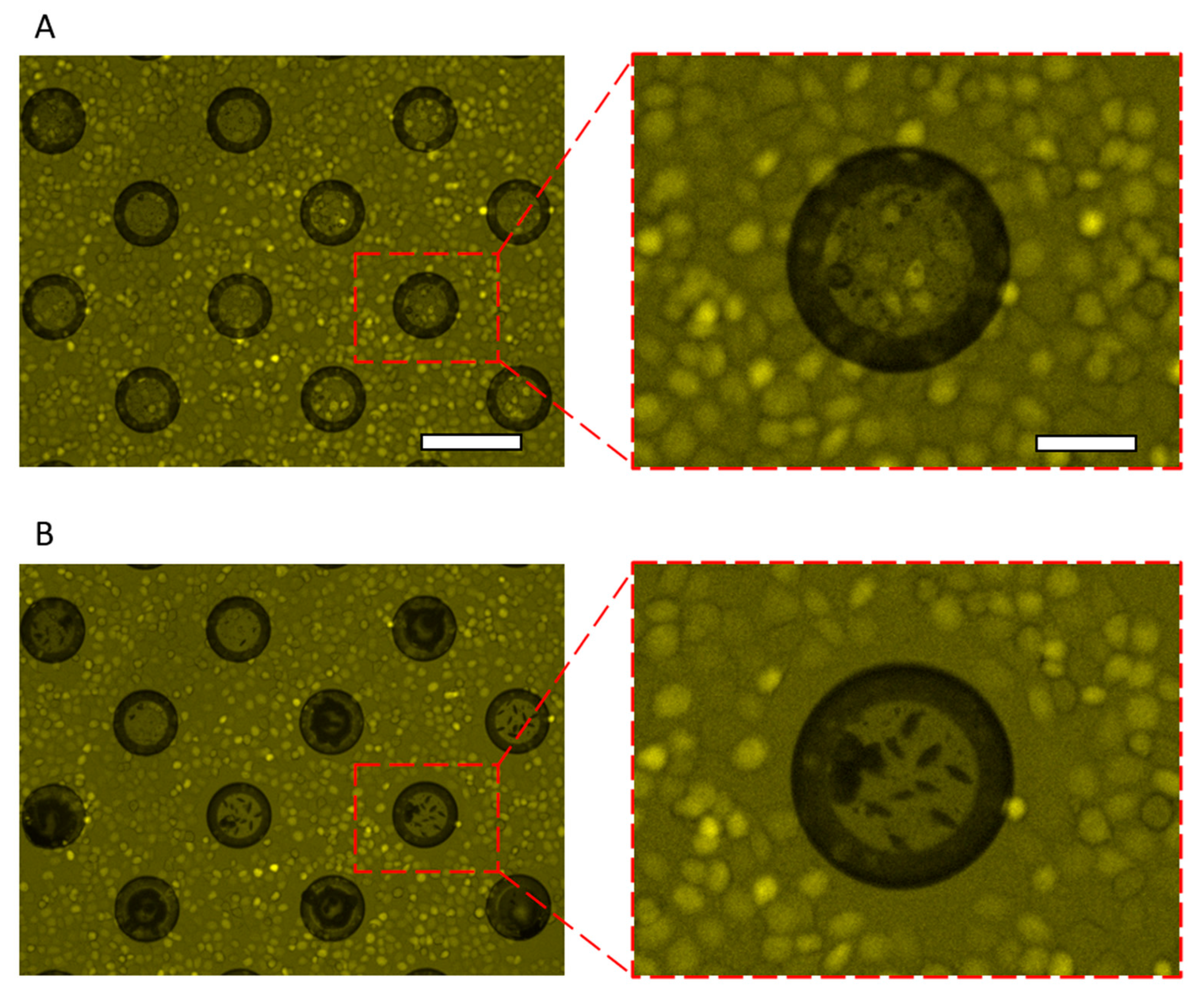 Micromachines 13 00320 g008 550