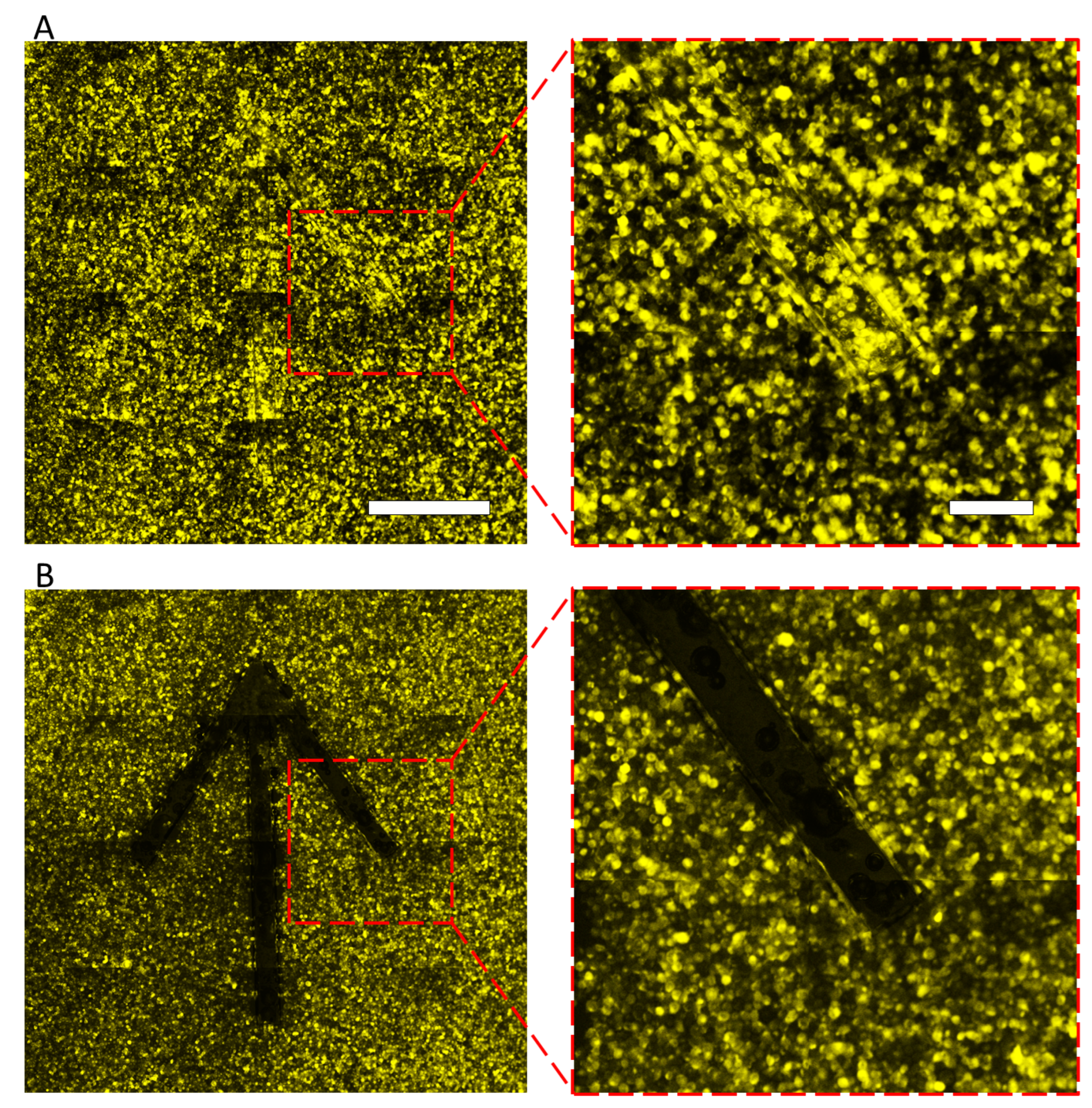 Micromachines 13 00320 g010 550