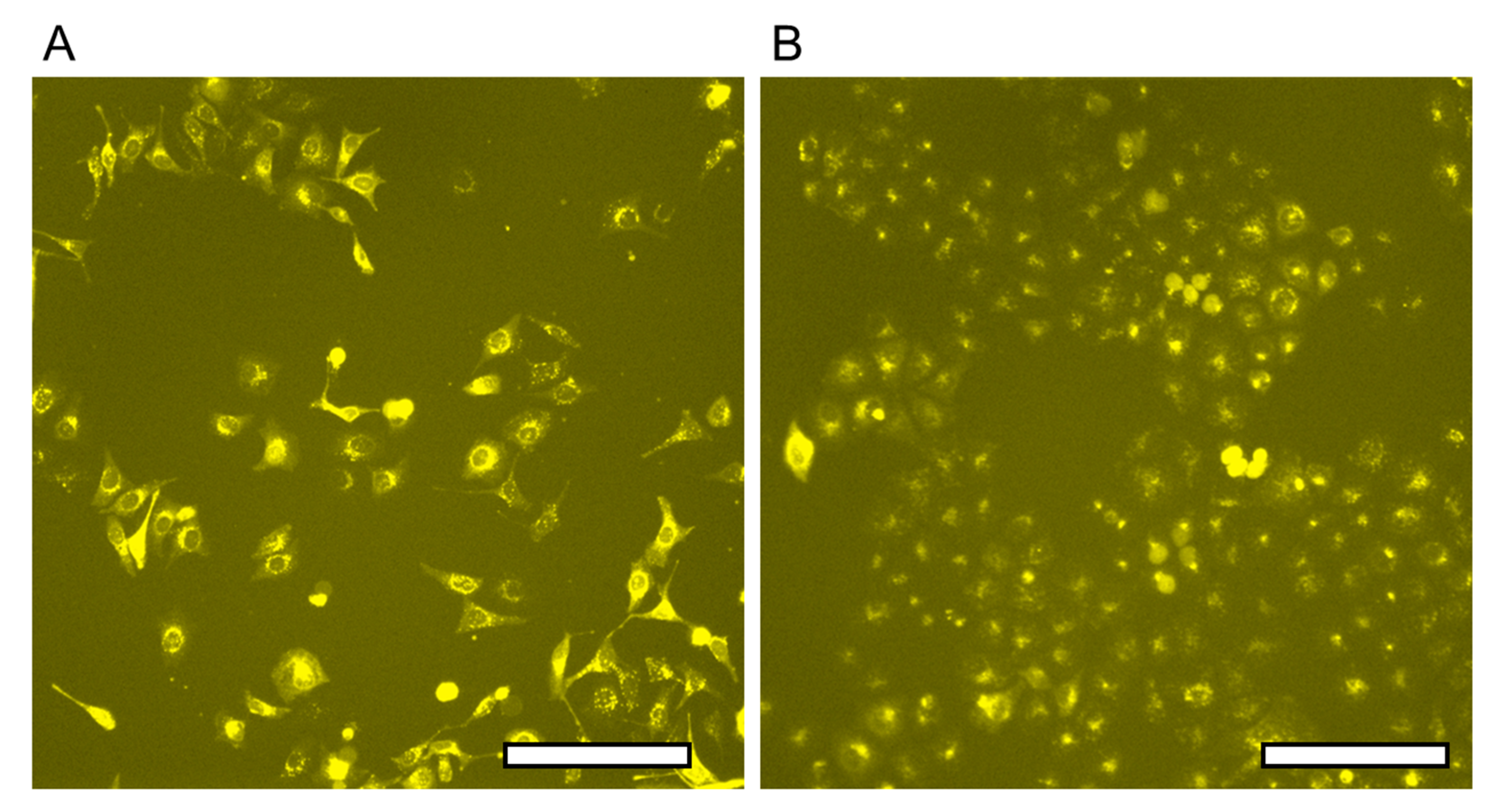 Micromachines 13 00320 g011 550
