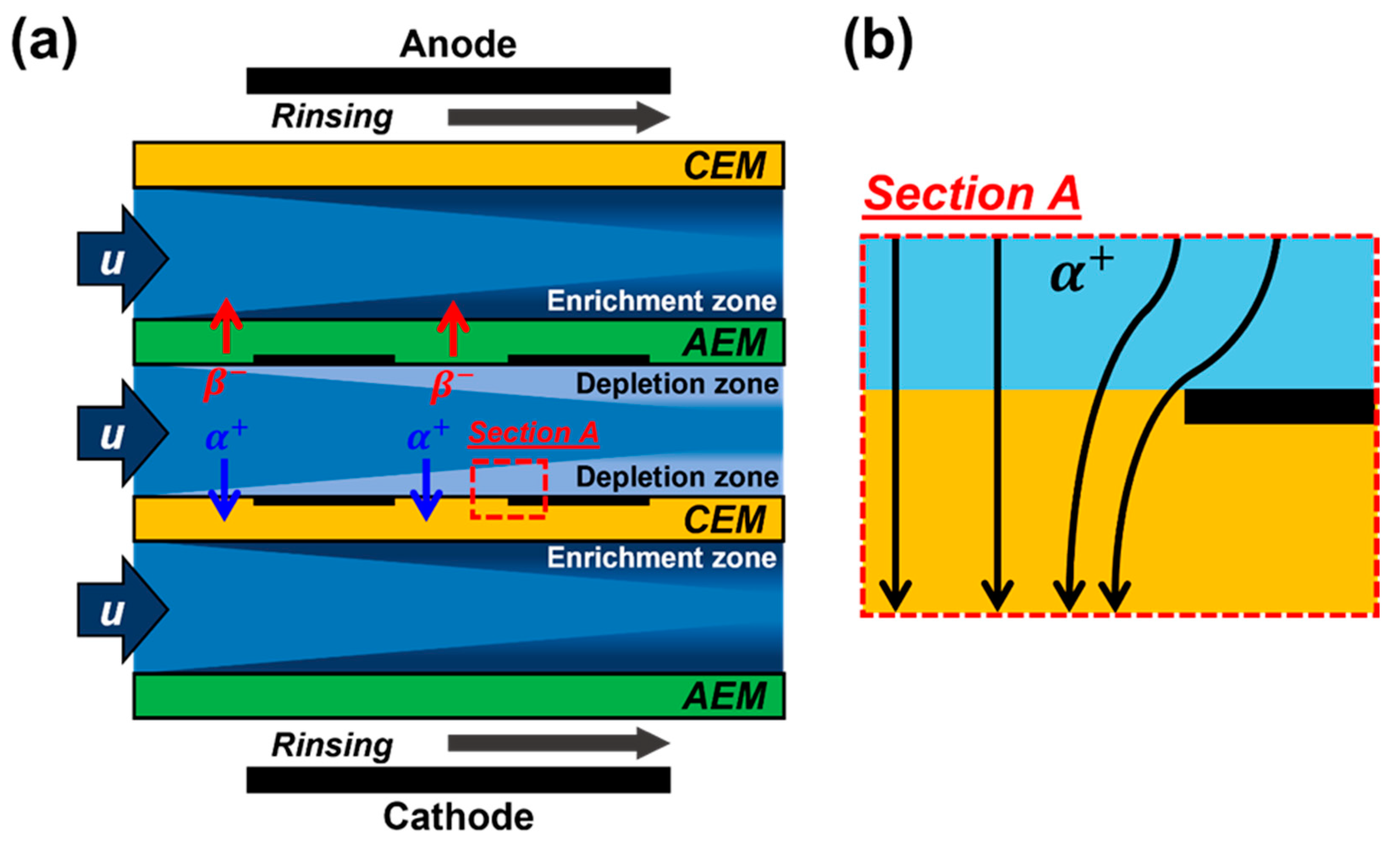 Micromachines 13 00356 g001