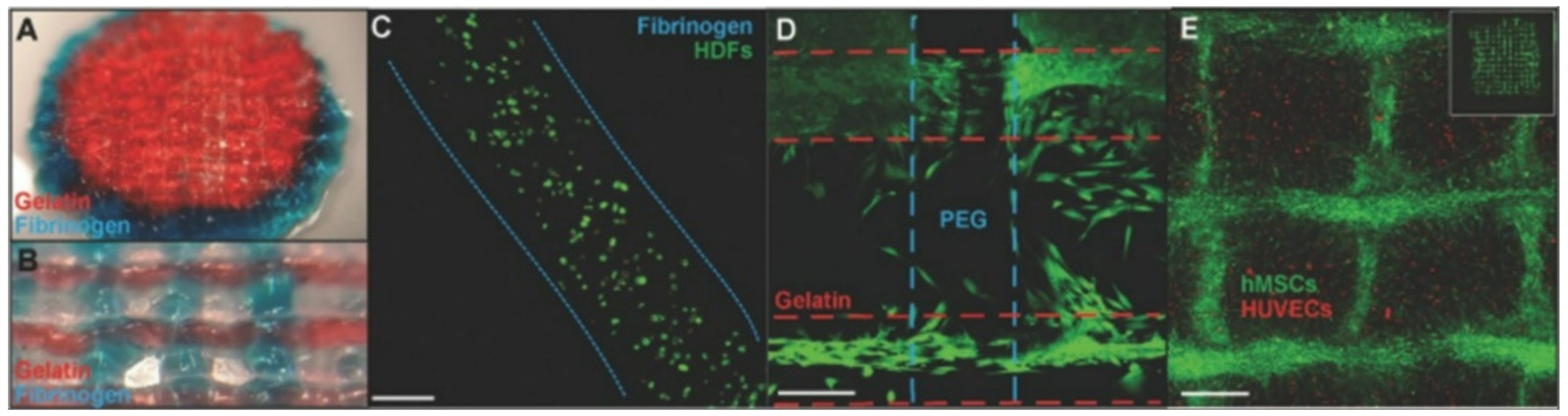 Micromachines 13 00363 g001