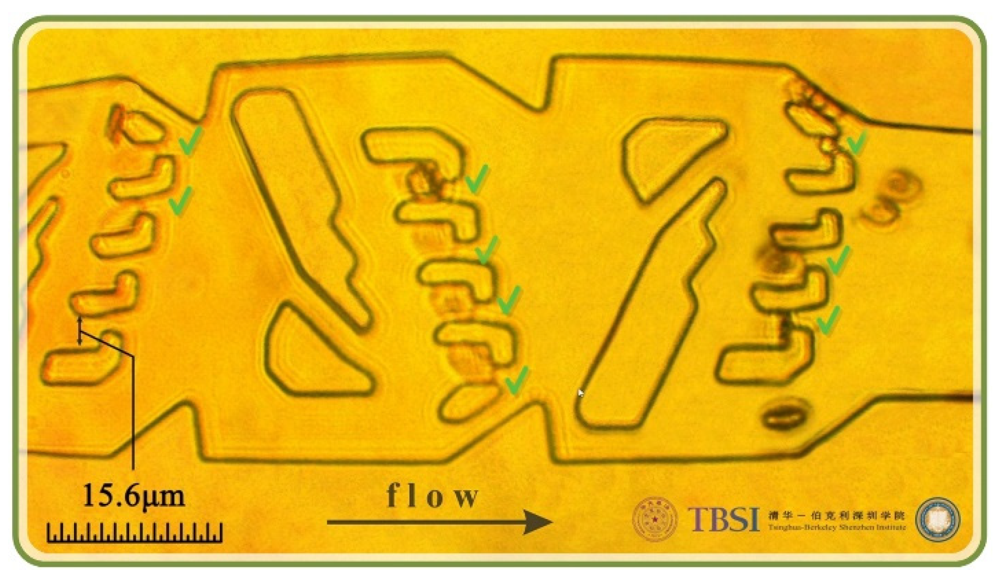 Micromachines 13 00367 g006 Micromachines 13 00367 g006