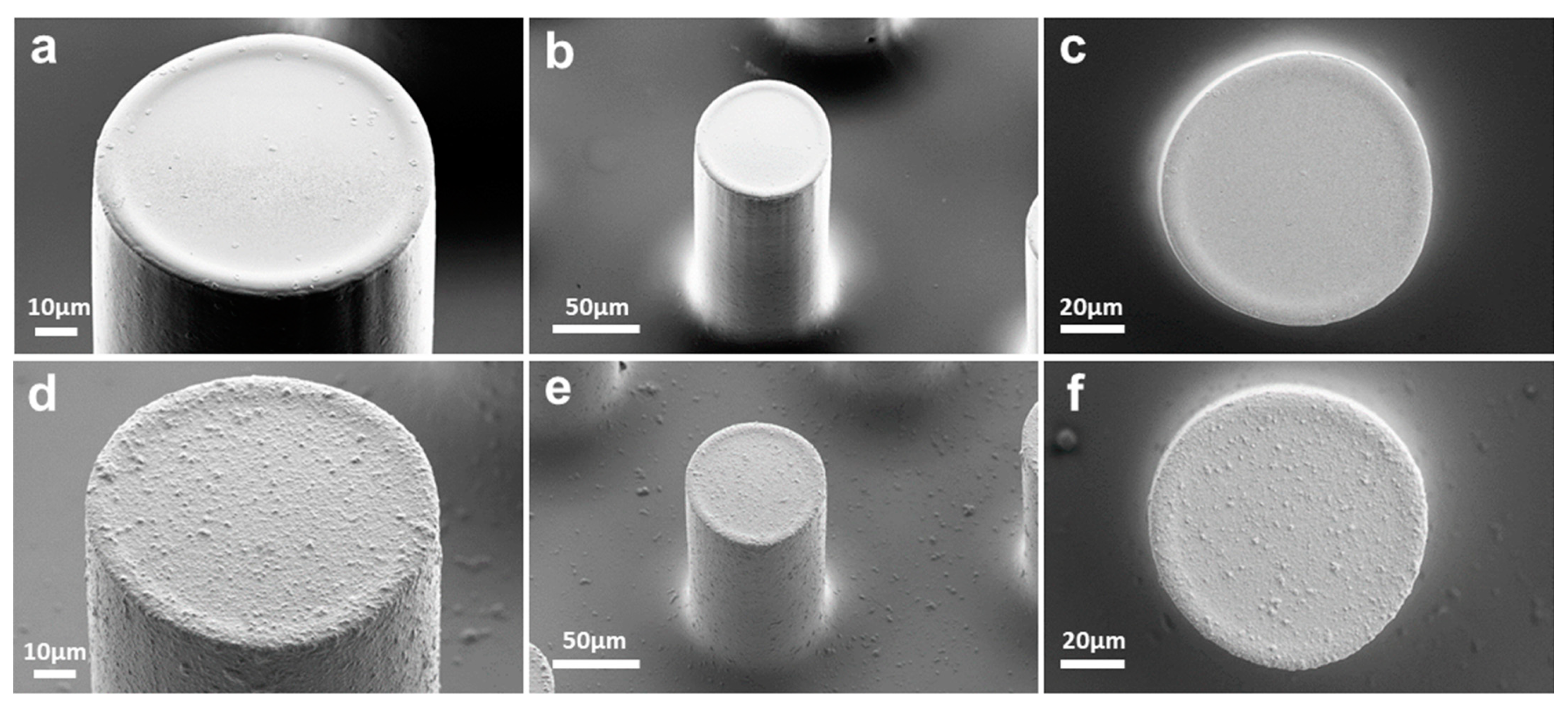 Micromachines 13 00371 g004 550