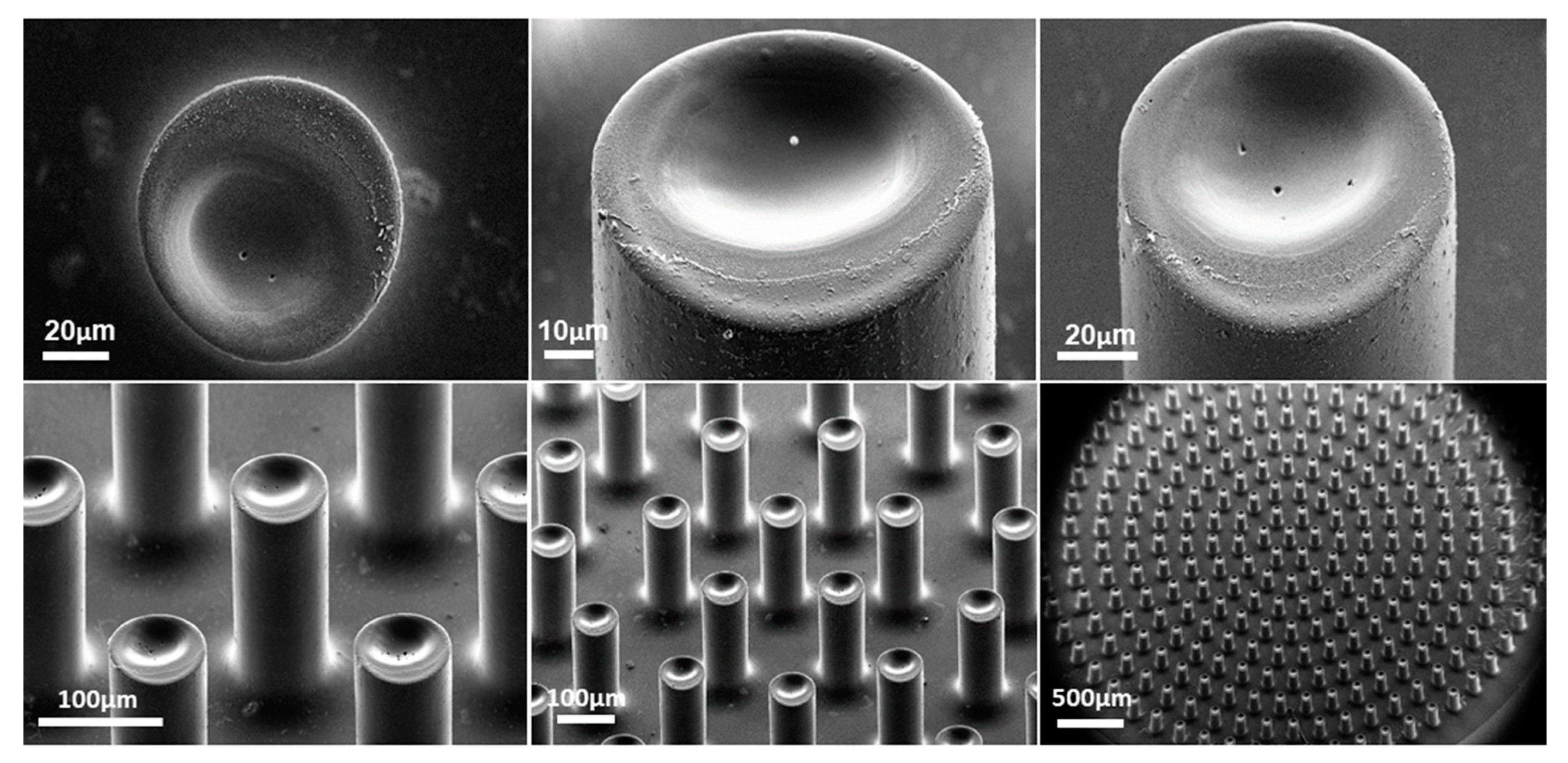 Micromachines 13 00371 g006 550