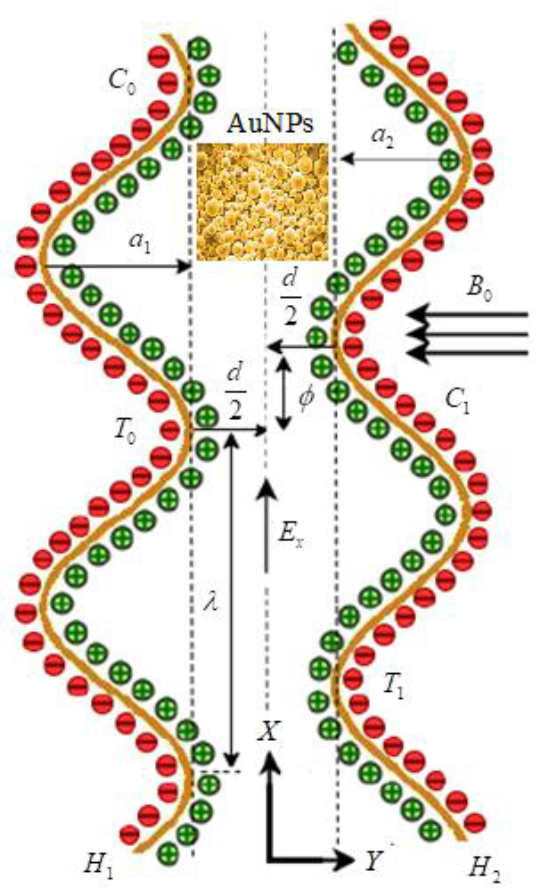 Micromachines 13 00374 g001 550