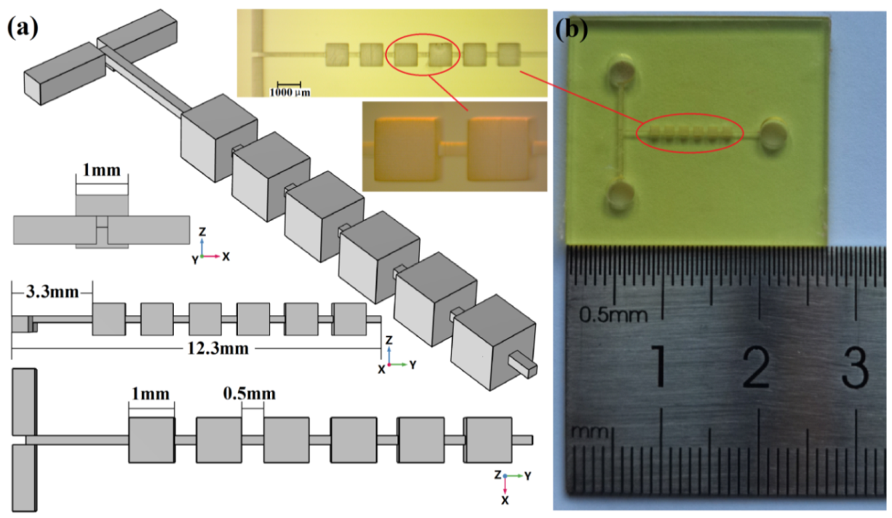 Micromachines 13 00384 g001 550