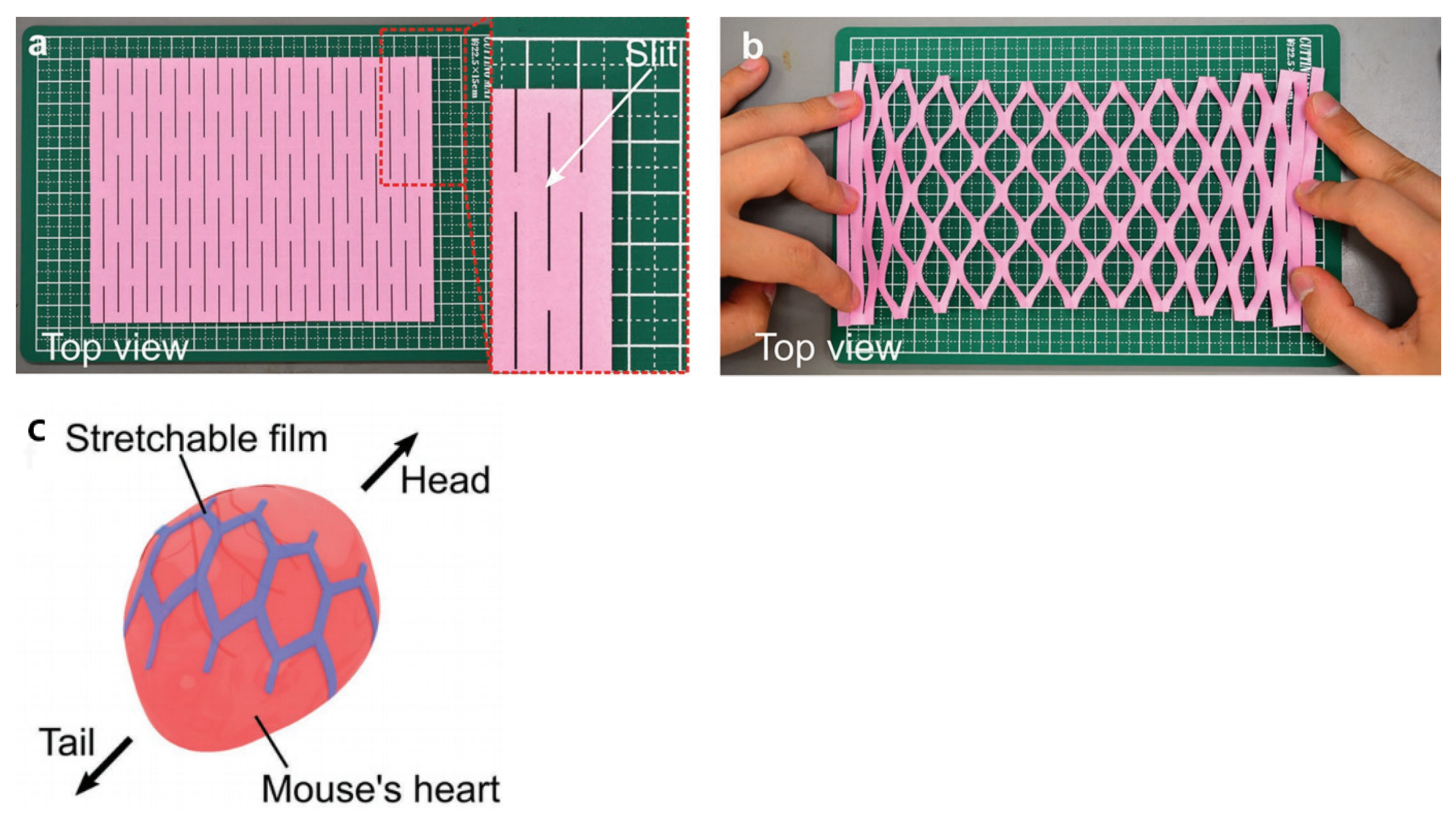 Micromachines 13 00386 g008