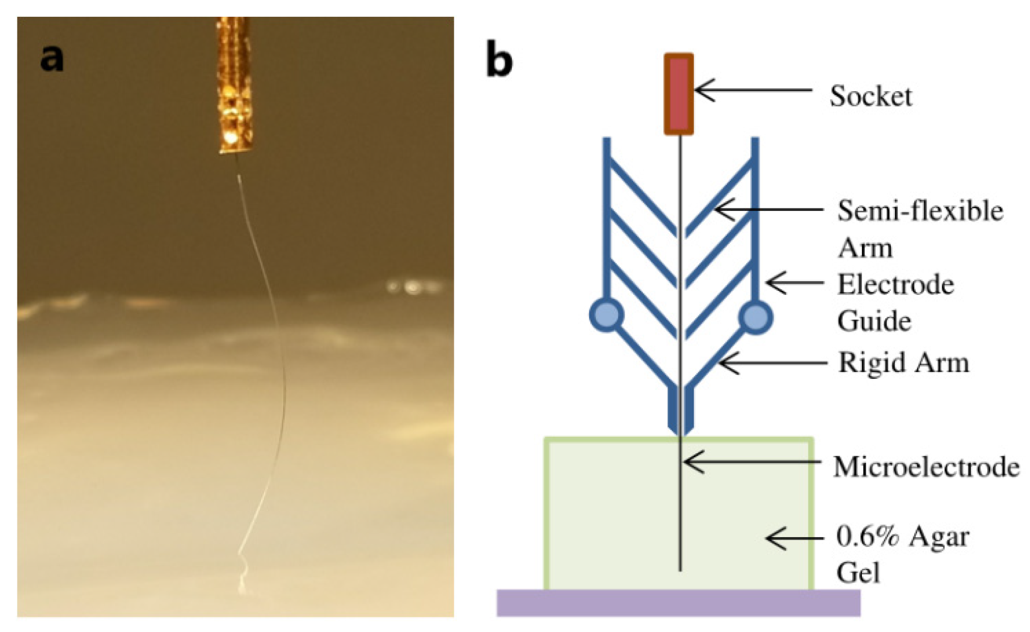 Micromachines 13 00386 g013