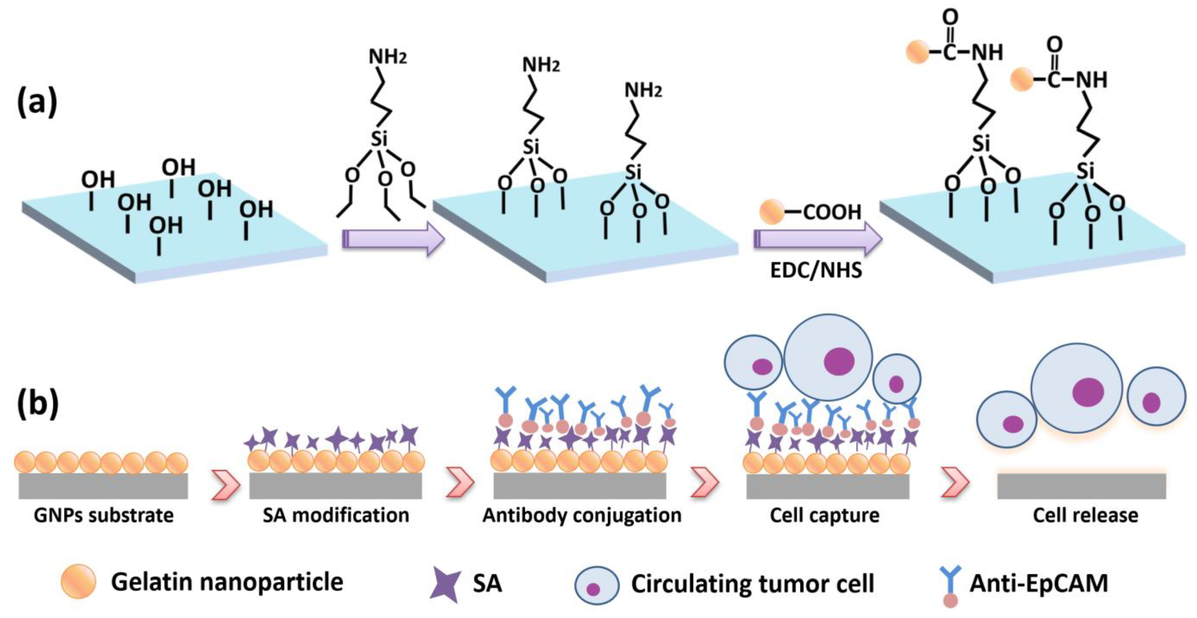 Micromachines 13 00395 g001 550