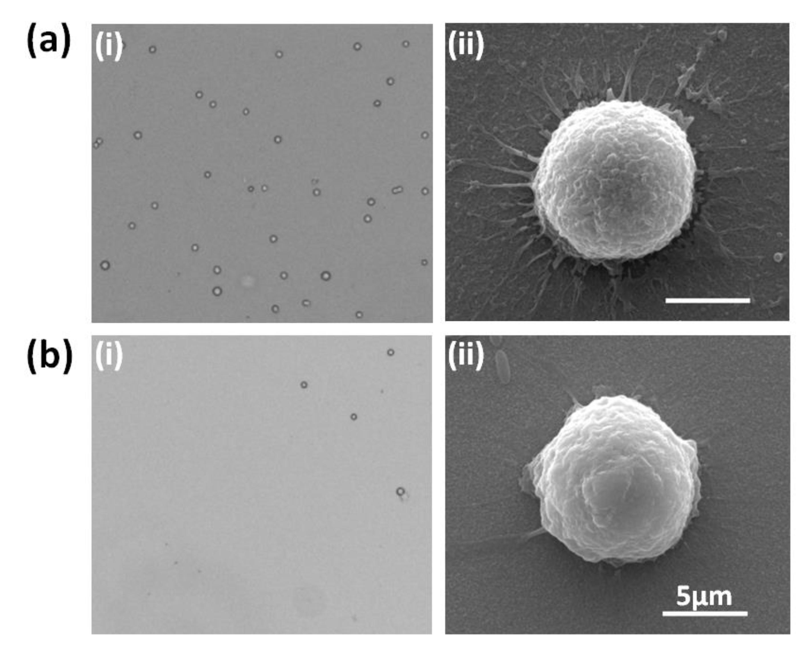 Micromachines 13 00395 g003 550