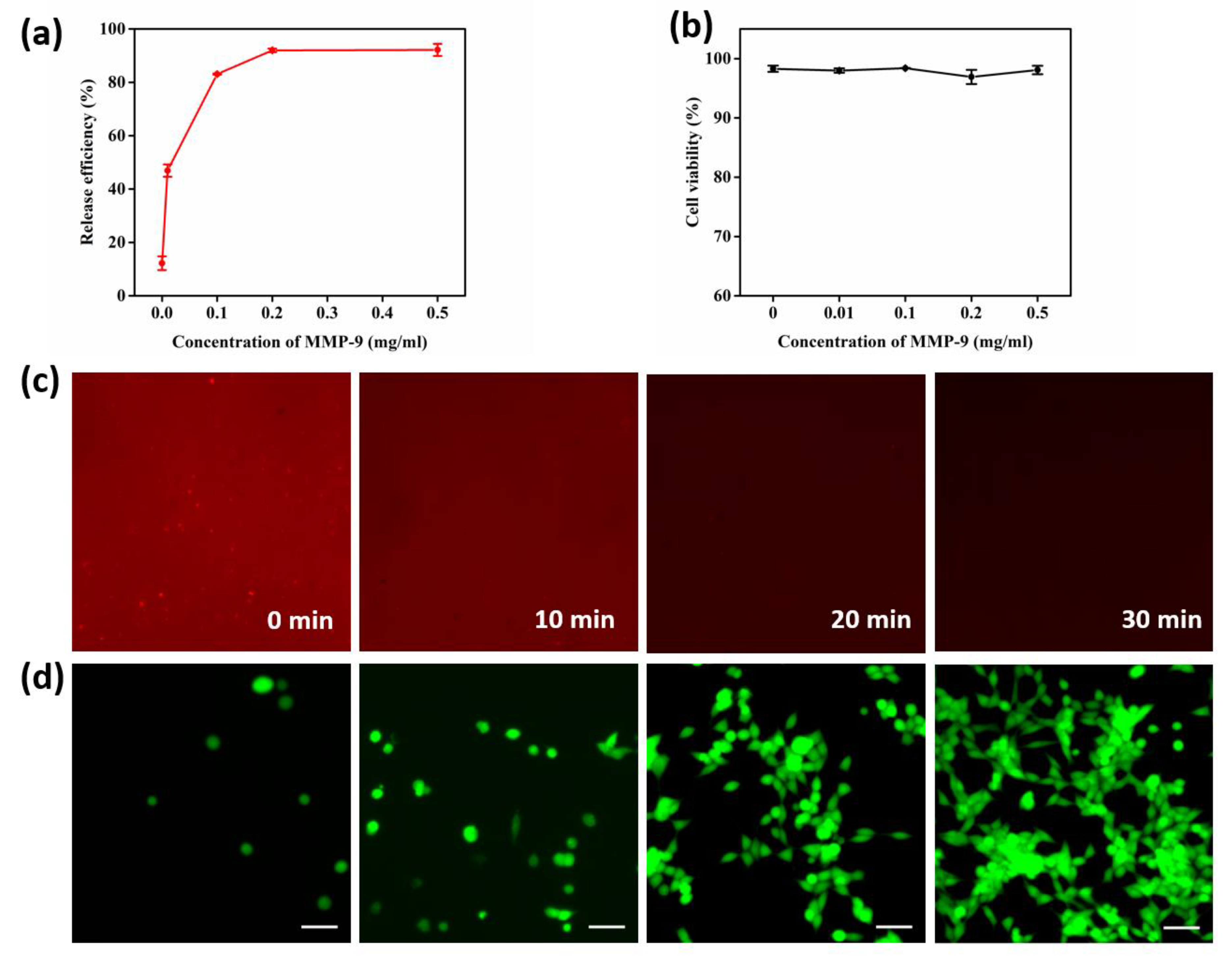 Micromachines 13 00395 g005 550
